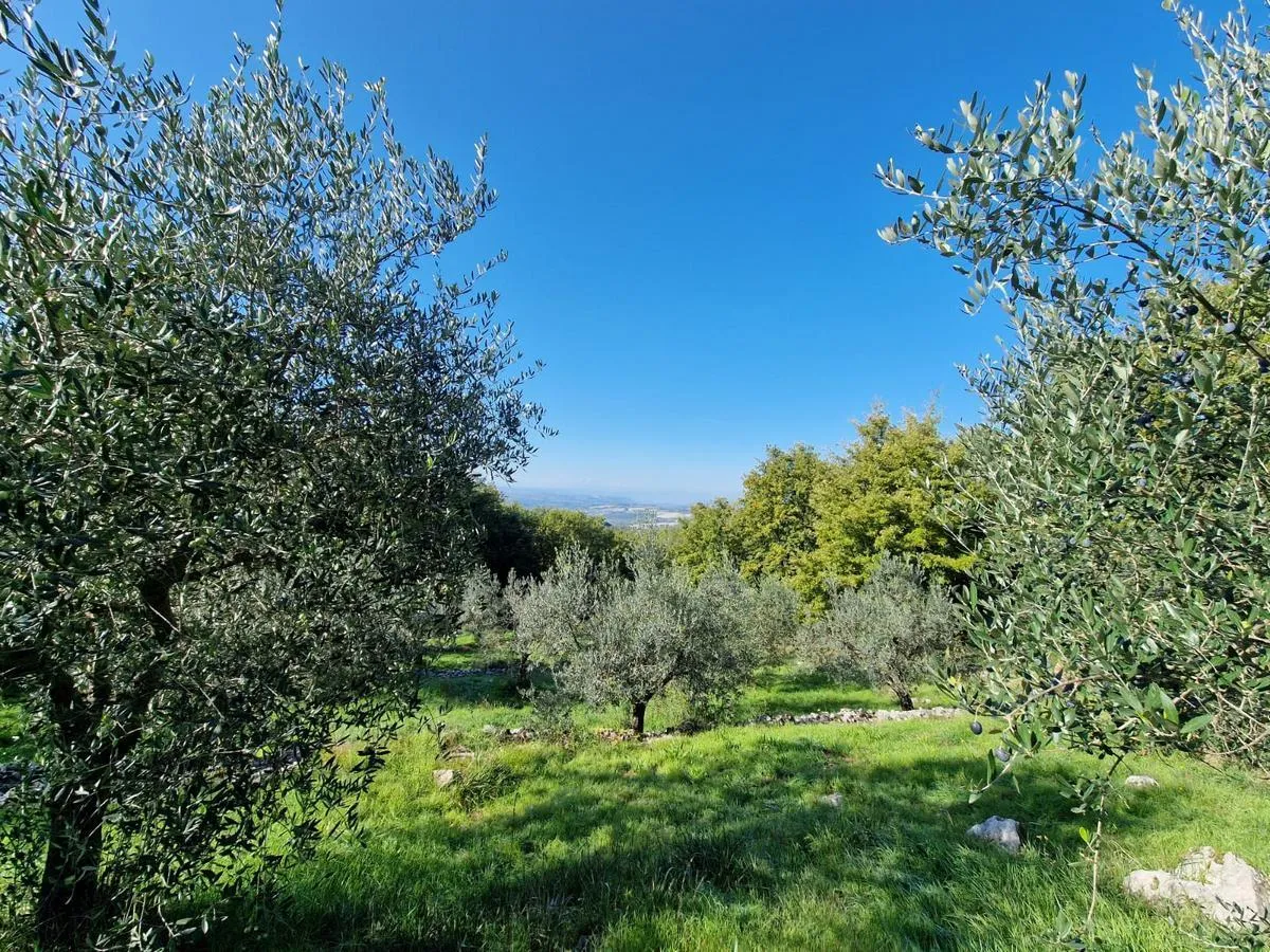 Foto 3 di 24 - Casa indipendente in vendita a Montecchio