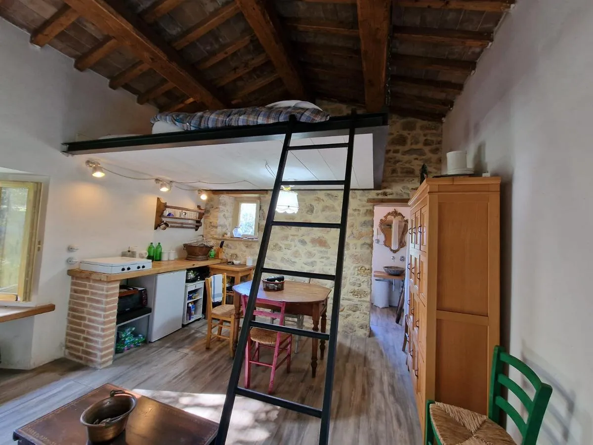 Foto 5 di 24 - Casa indipendente in vendita a Montecchio