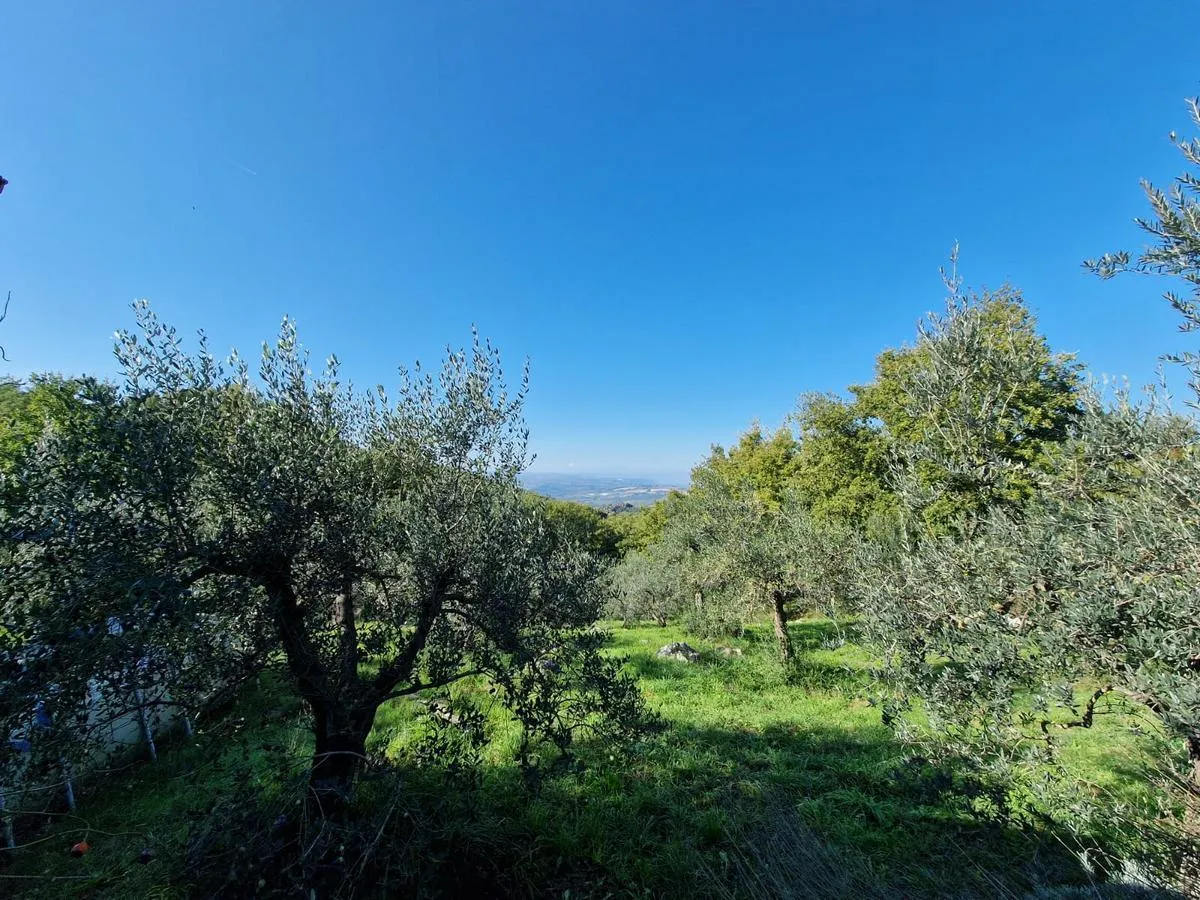 Foto 16 di 24 - Casa indipendente in vendita a Montecchio