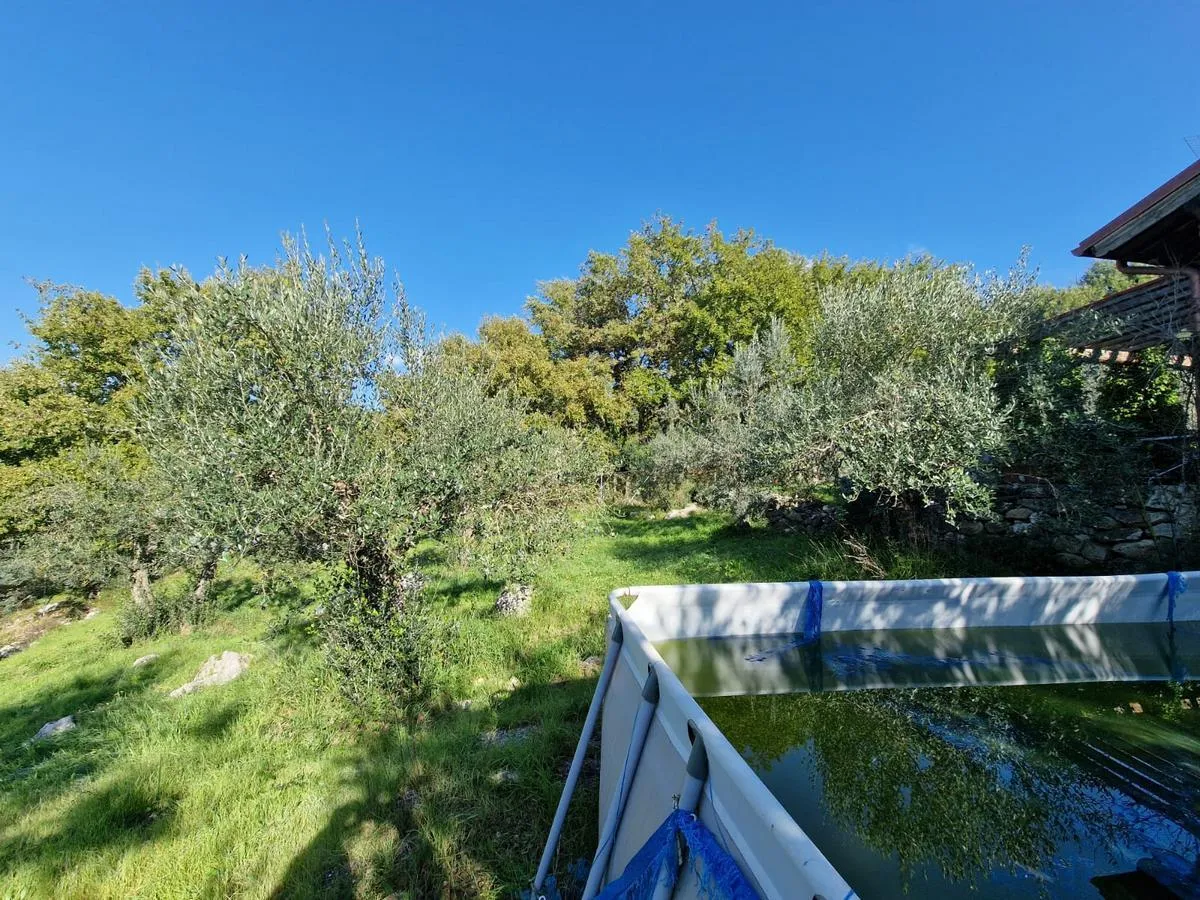 Foto 17 di 24 - Casa indipendente in vendita a Montecchio