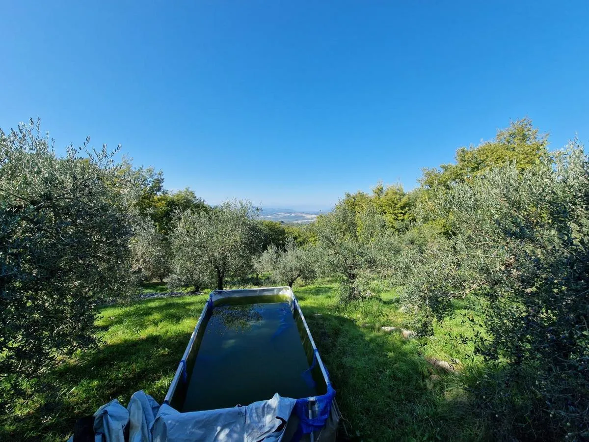 Foto 19 di 24 - Casa indipendente in vendita a Montecchio
