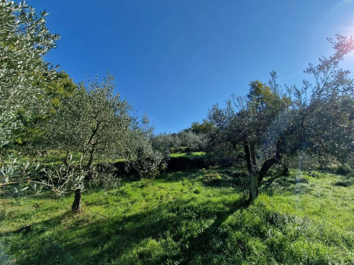 Foto 24 di 24 - Casa indipendente in vendita a Montecchio