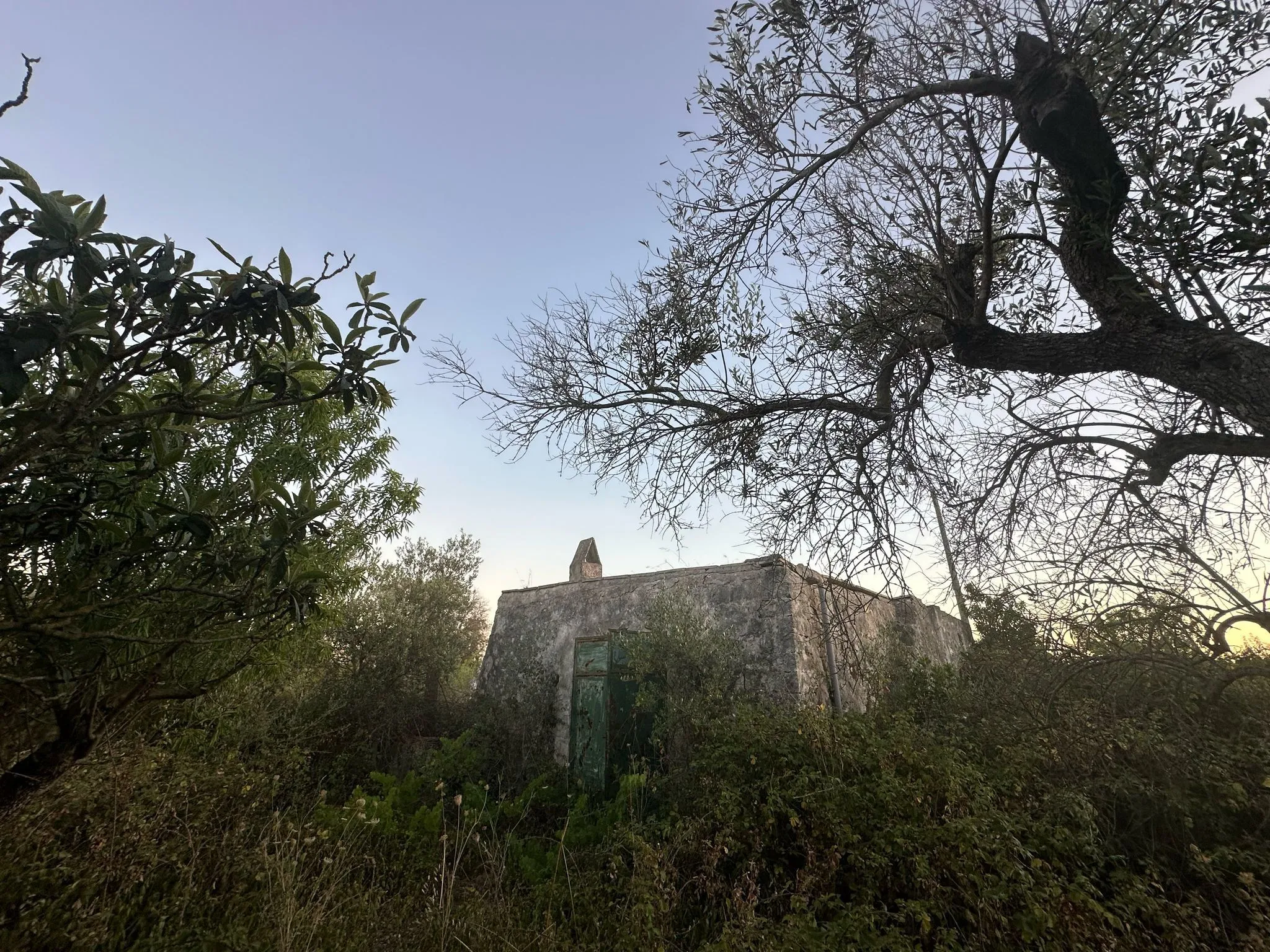 Foto 4 di 14 - Casa indipendente in vendita a Ostuni