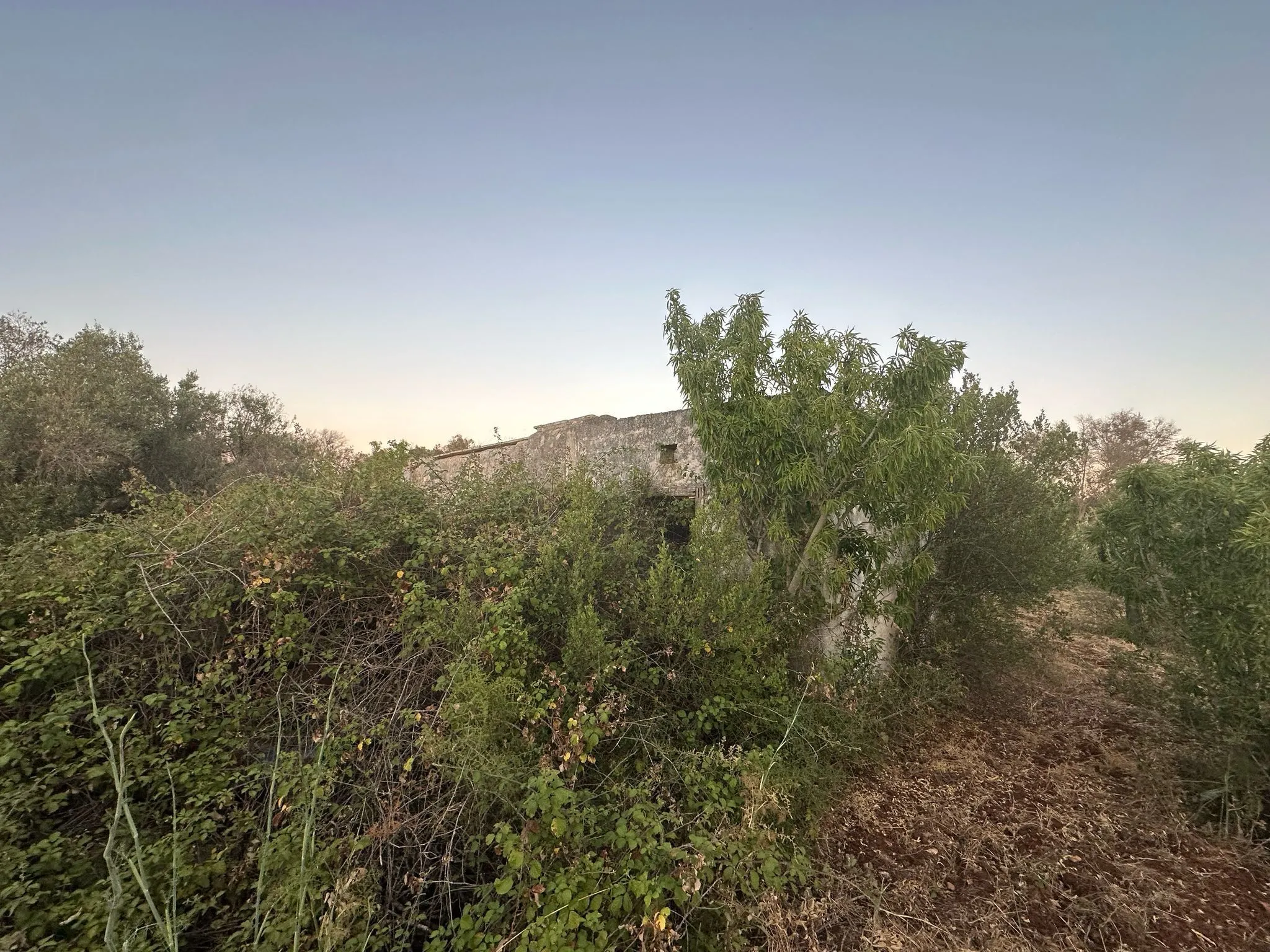 Foto 6 di 14 - Casa indipendente in vendita a Ostuni