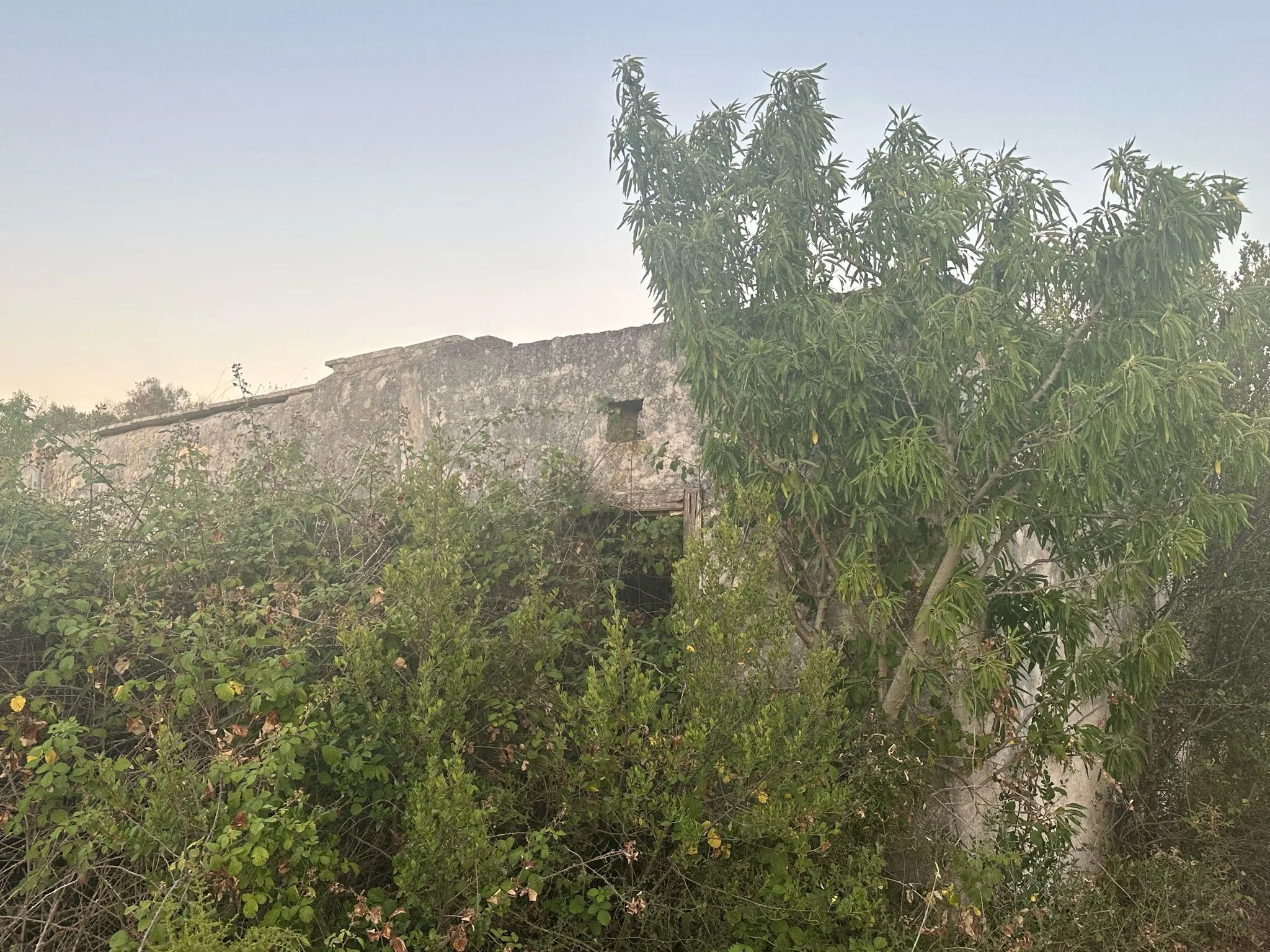 Foto 7 di 14 - Casa indipendente in vendita a Ostuni