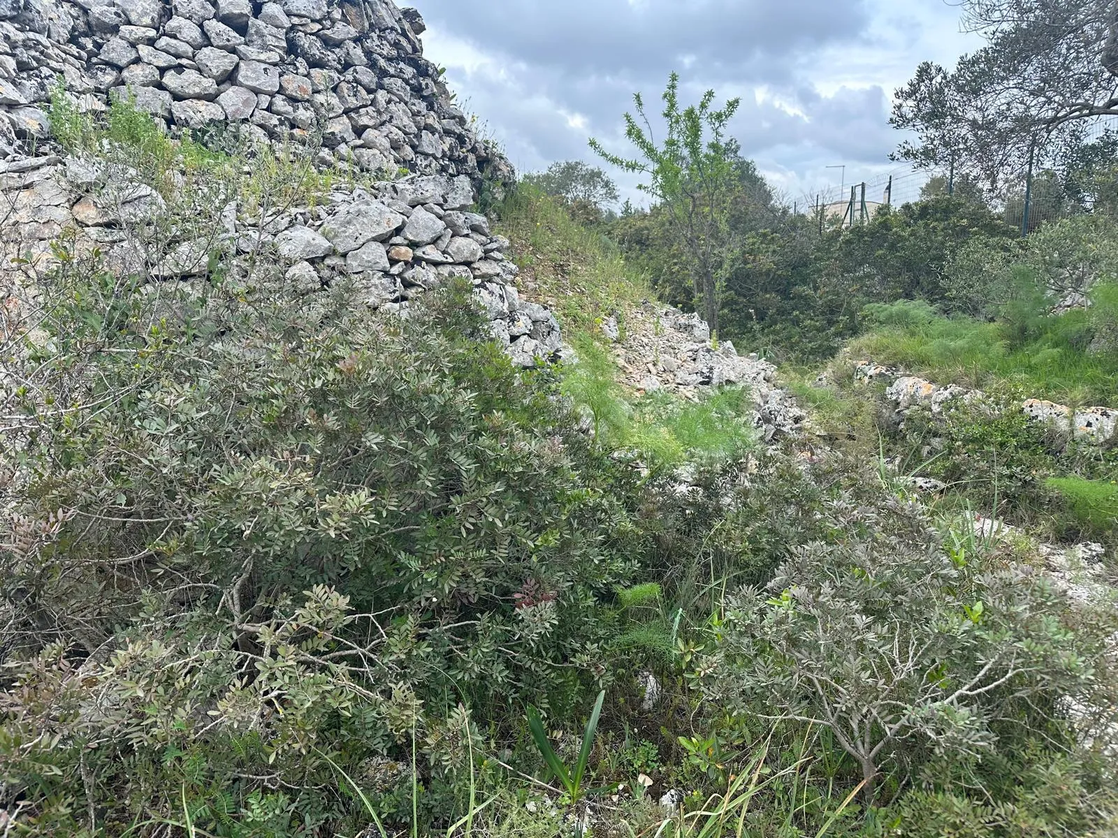 Foto 10 di 14 - Casa indipendente in vendita a Ostuni