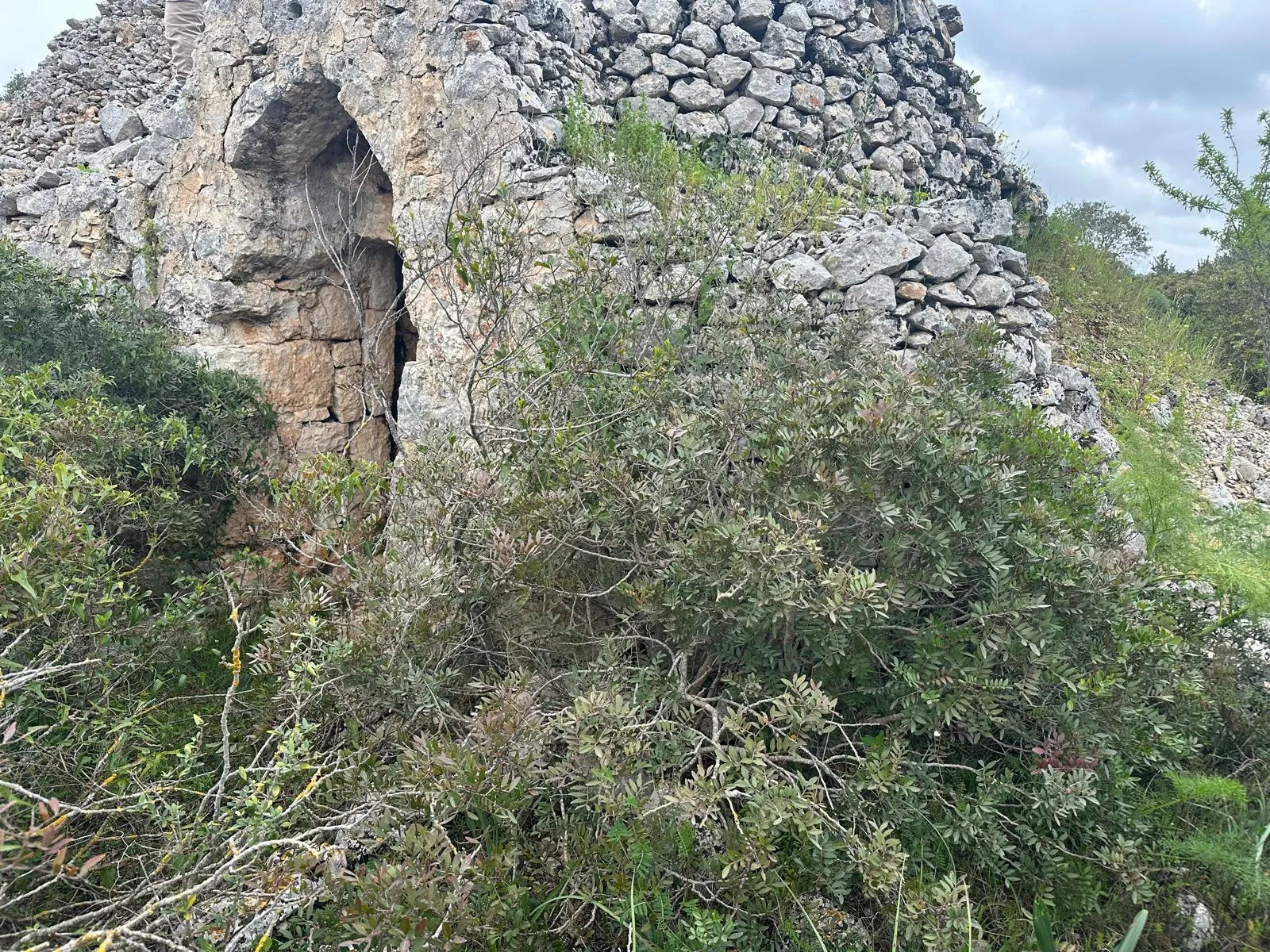 Foto 11 di 14 - Casa indipendente in vendita a Ostuni