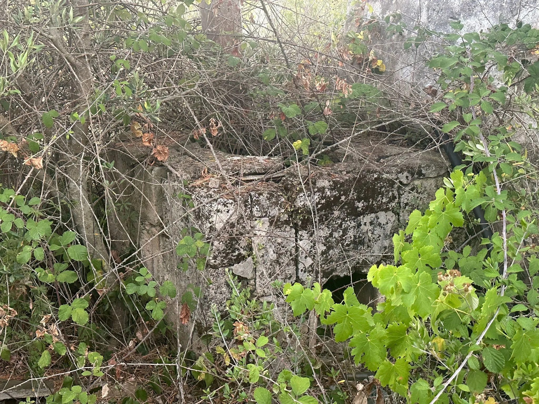 Foto 14 di 14 - Casa indipendente in vendita a Ostuni