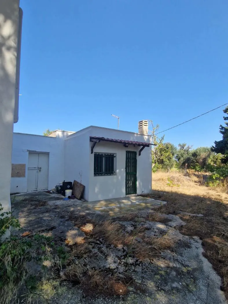 Foto 9 di 31 - Villa in vendita a Brindisi