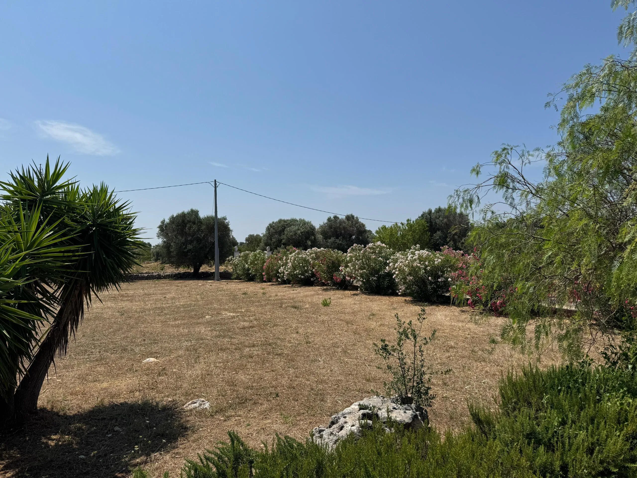 Foto 7 di 54 - Casa indipendente in vendita a Ostuni