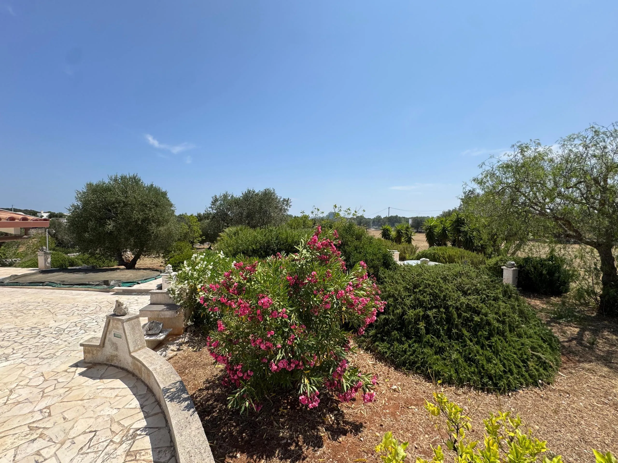 Foto 36 di 54 - Casa indipendente in vendita a Ostuni