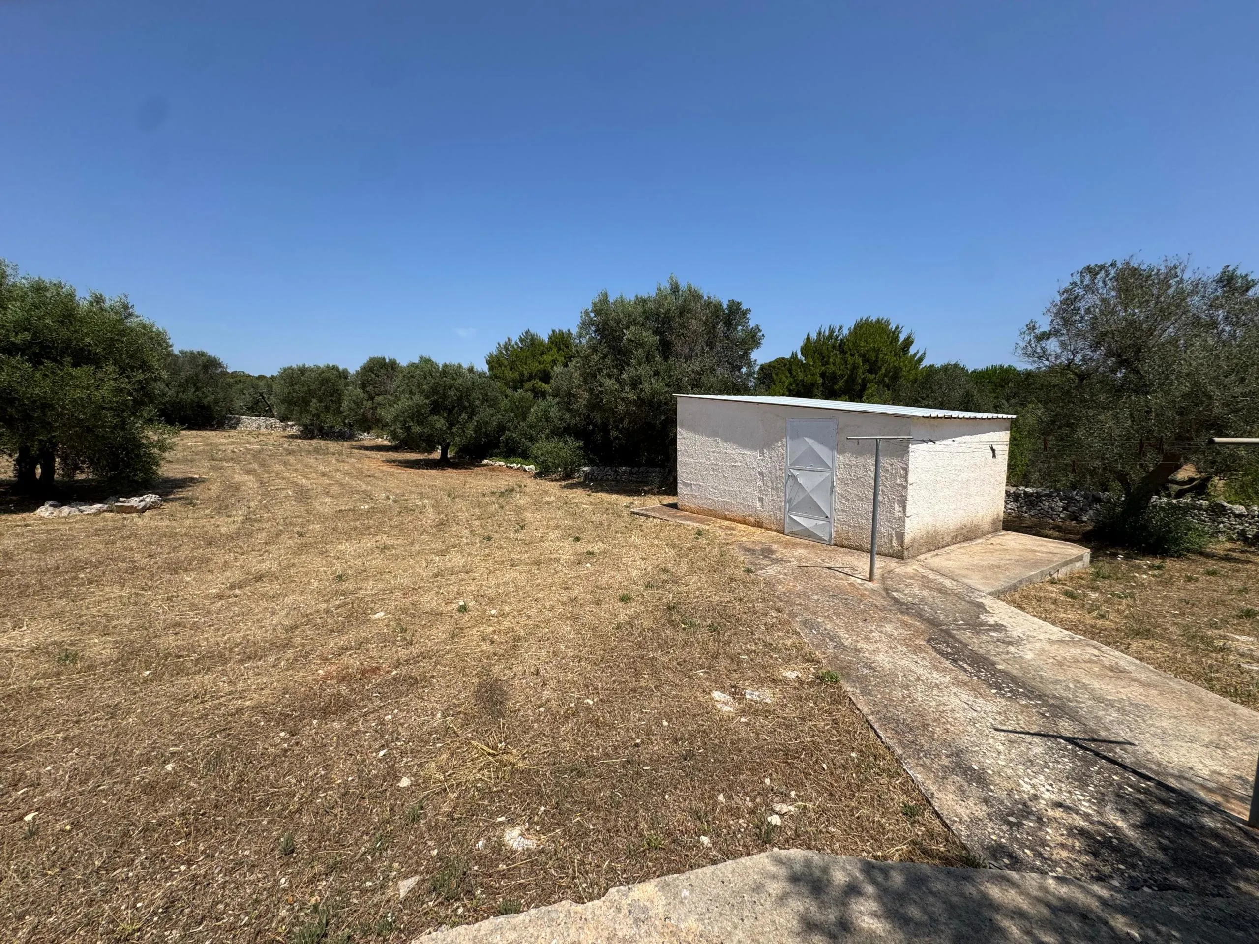 Foto 39 di 54 - Casa indipendente in vendita a Ostuni