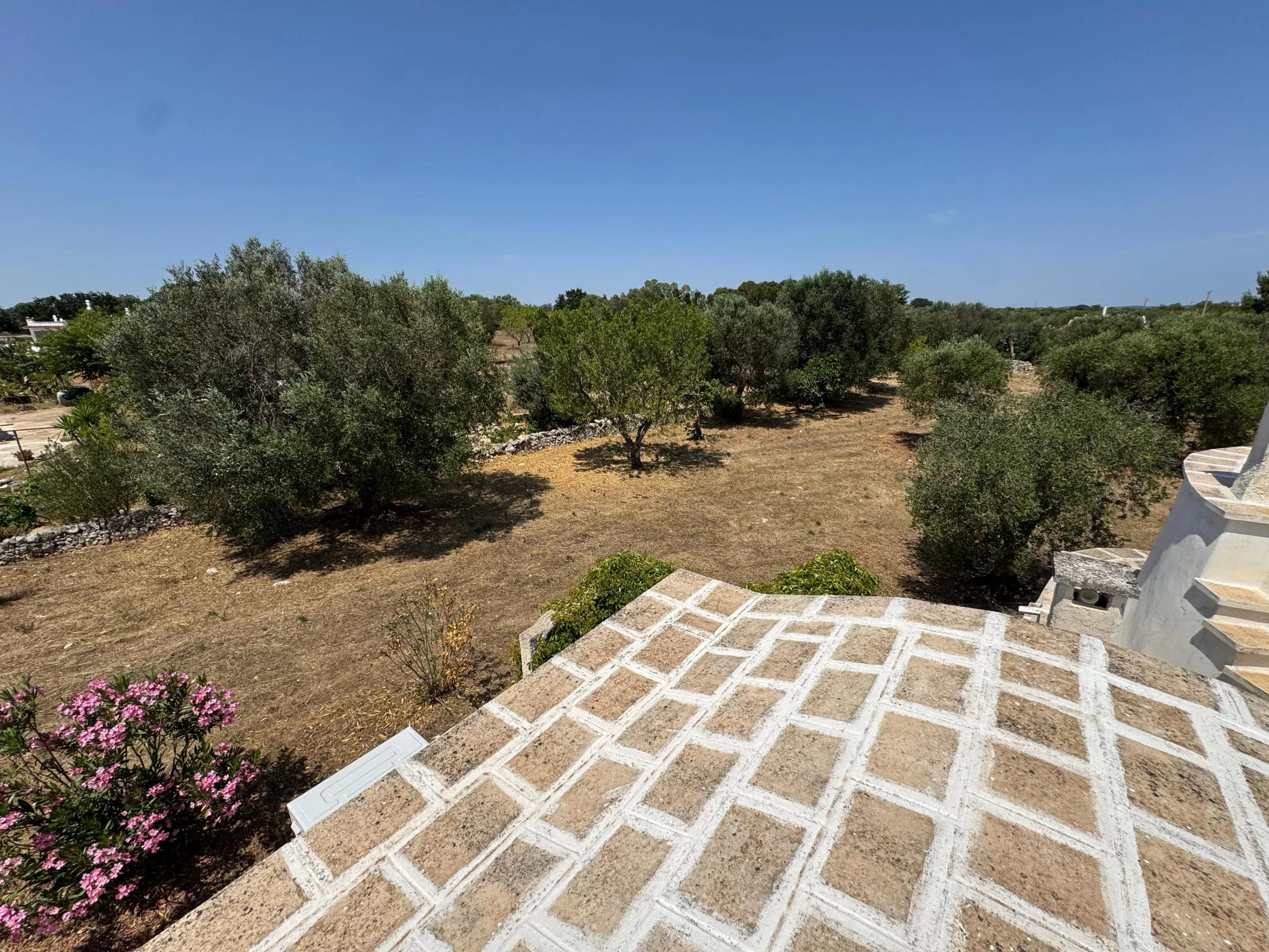 Foto 44 di 54 - Casa indipendente in vendita a Ostuni