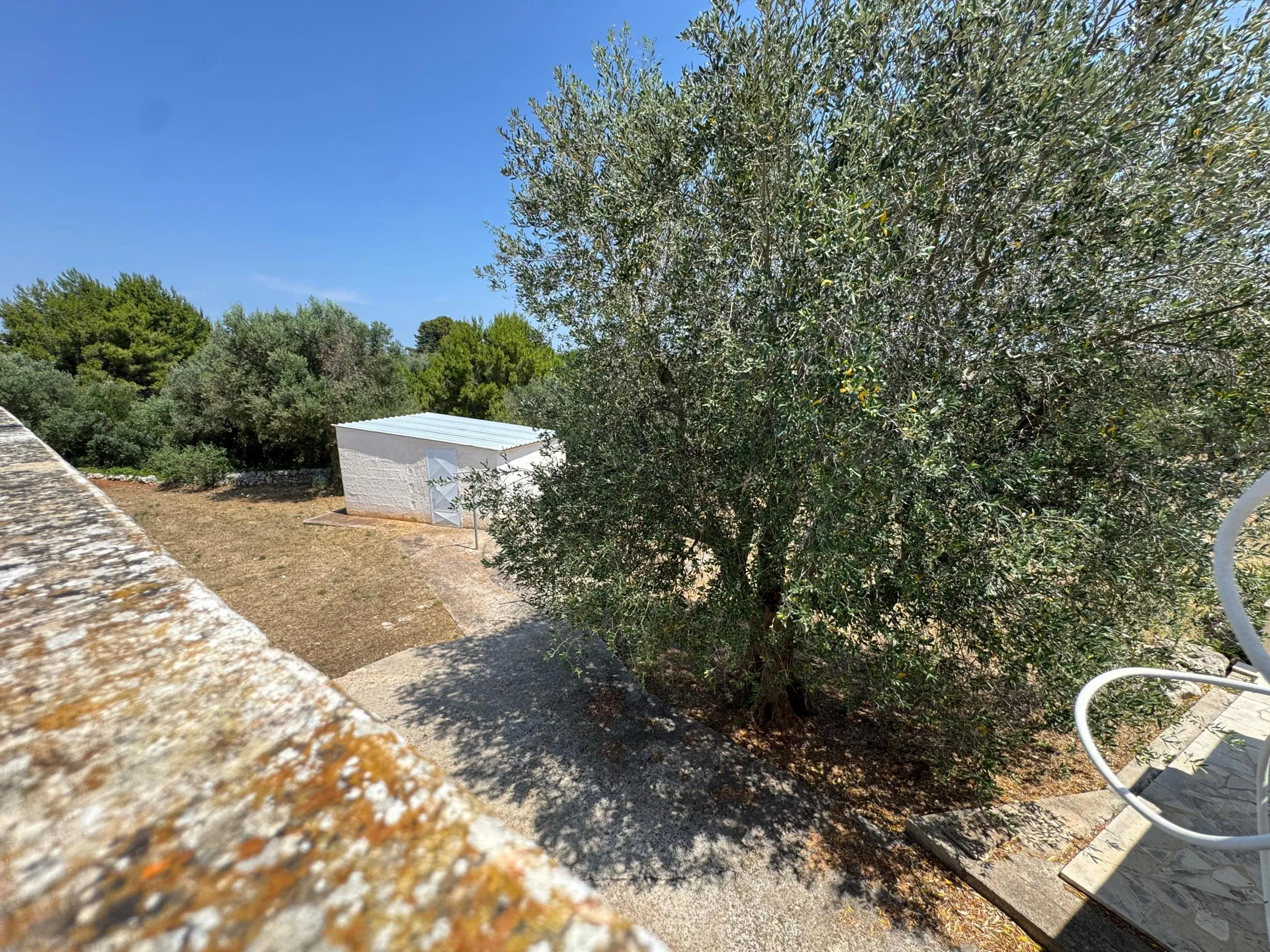 Foto 48 di 54 - Casa indipendente in vendita a Ostuni