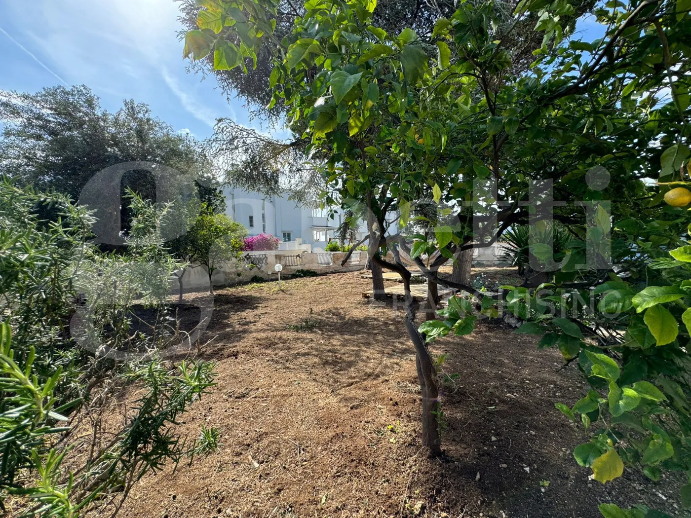 Foto 7 di 50 - Villa in vendita a Bari