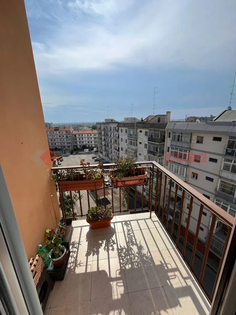 Foto 10 di 10 - Appartamento in vendita a Bari