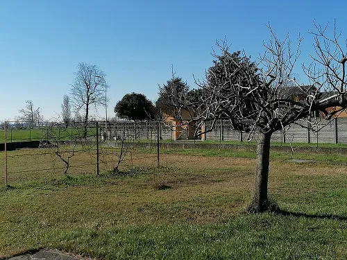 Foto 19 di 19 - Villa in vendita a Monte Cremasco