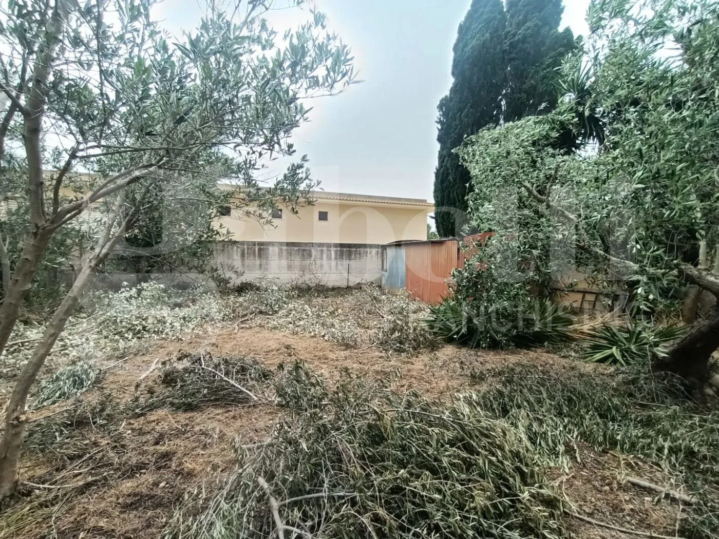 Foto 3 di 8 - Terreno in vendita a Misiliscemi
