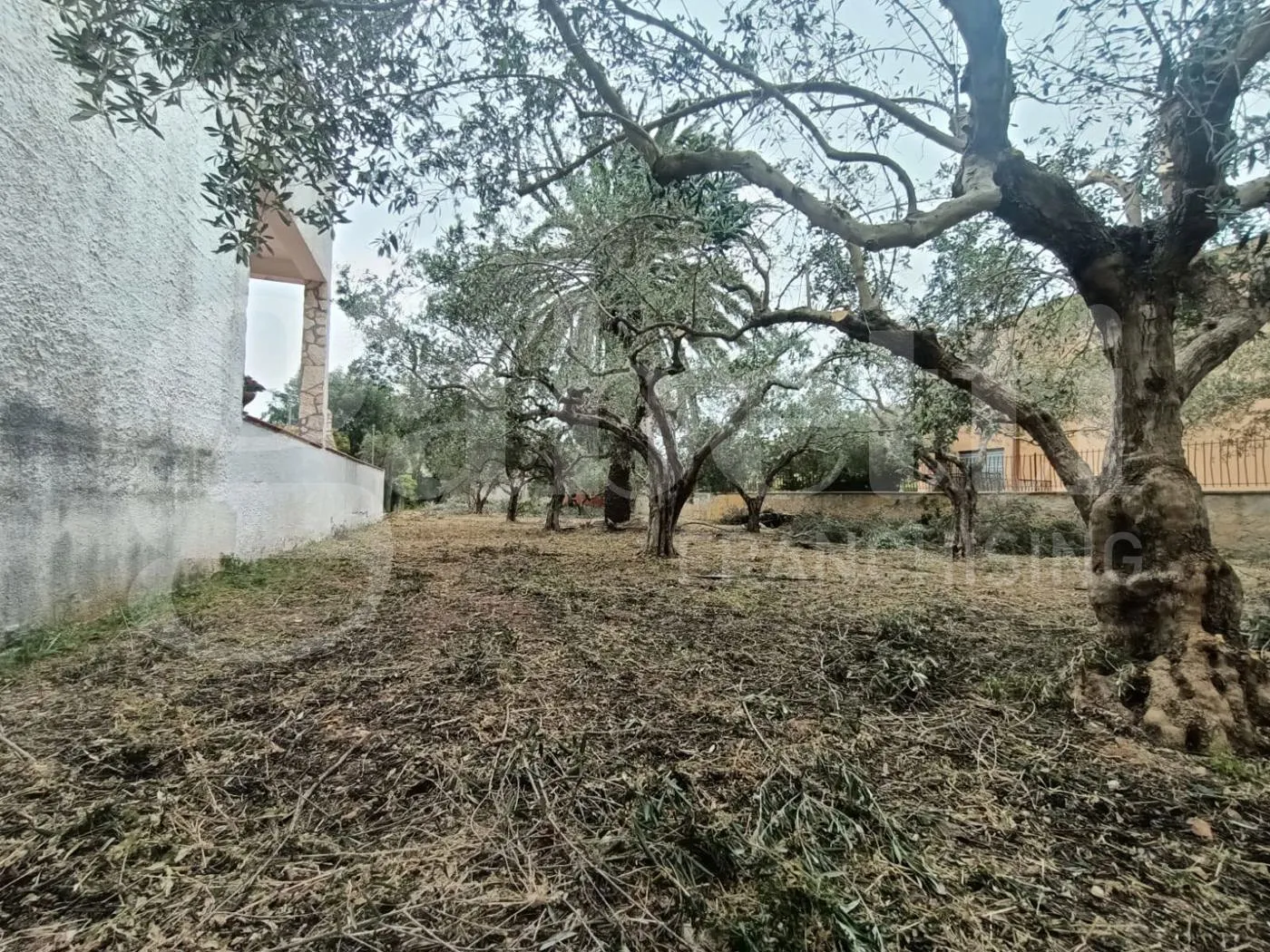 Foto 4 di 8 - Terreno in vendita a Misiliscemi