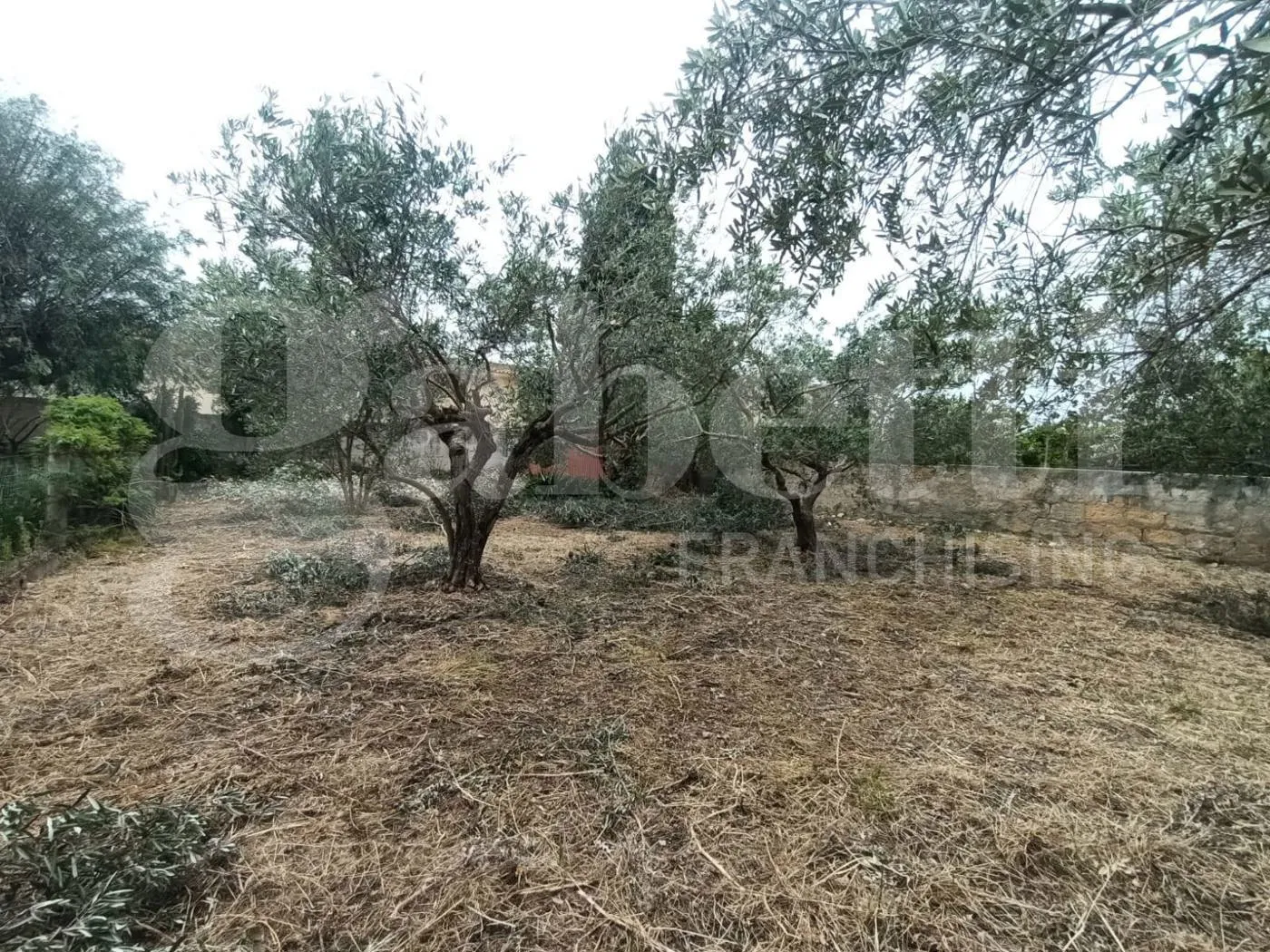 Foto 5 di 8 - Terreno in vendita a Misiliscemi
