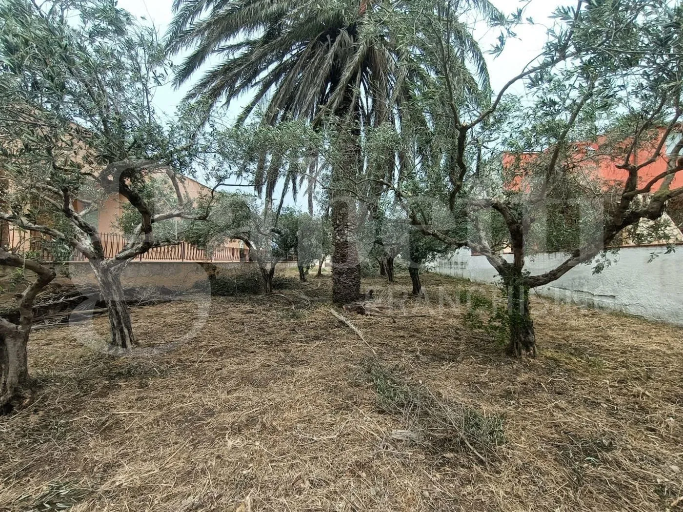 Foto 7 di 8 - Terreno in vendita a Misiliscemi