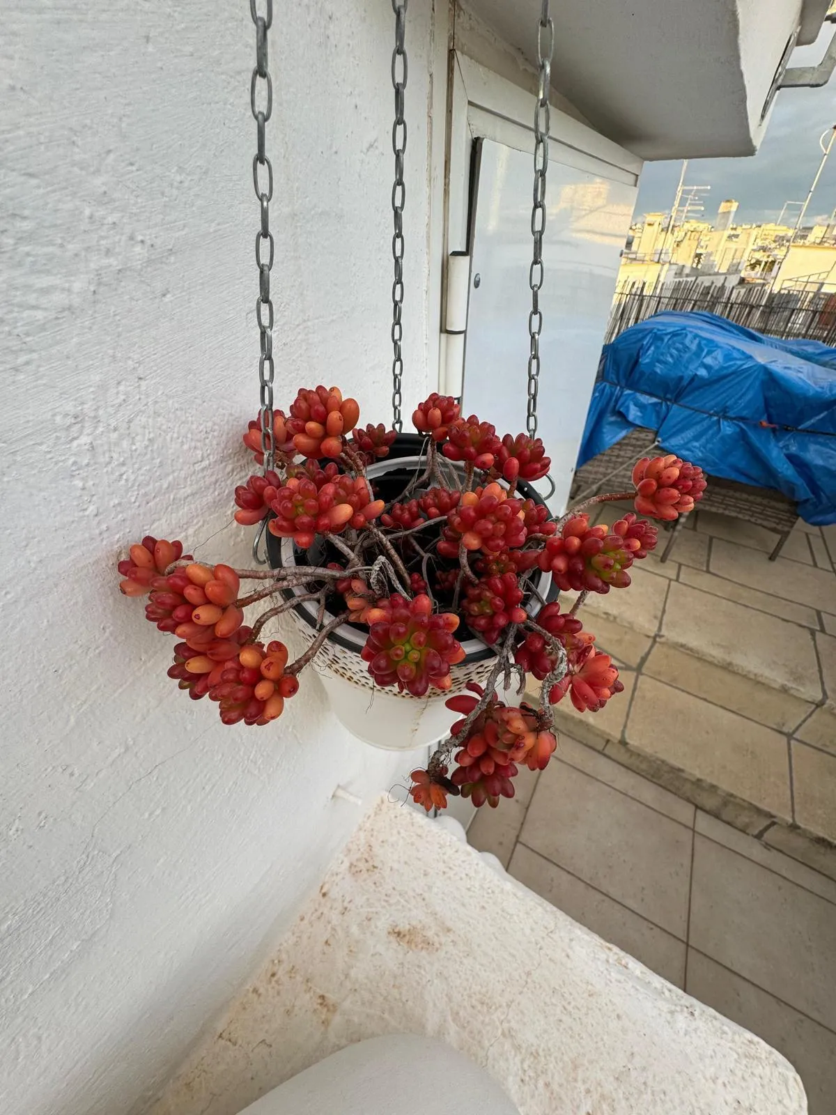 Foto 17 di 27 - Casa indipendente in vendita a Ostuni