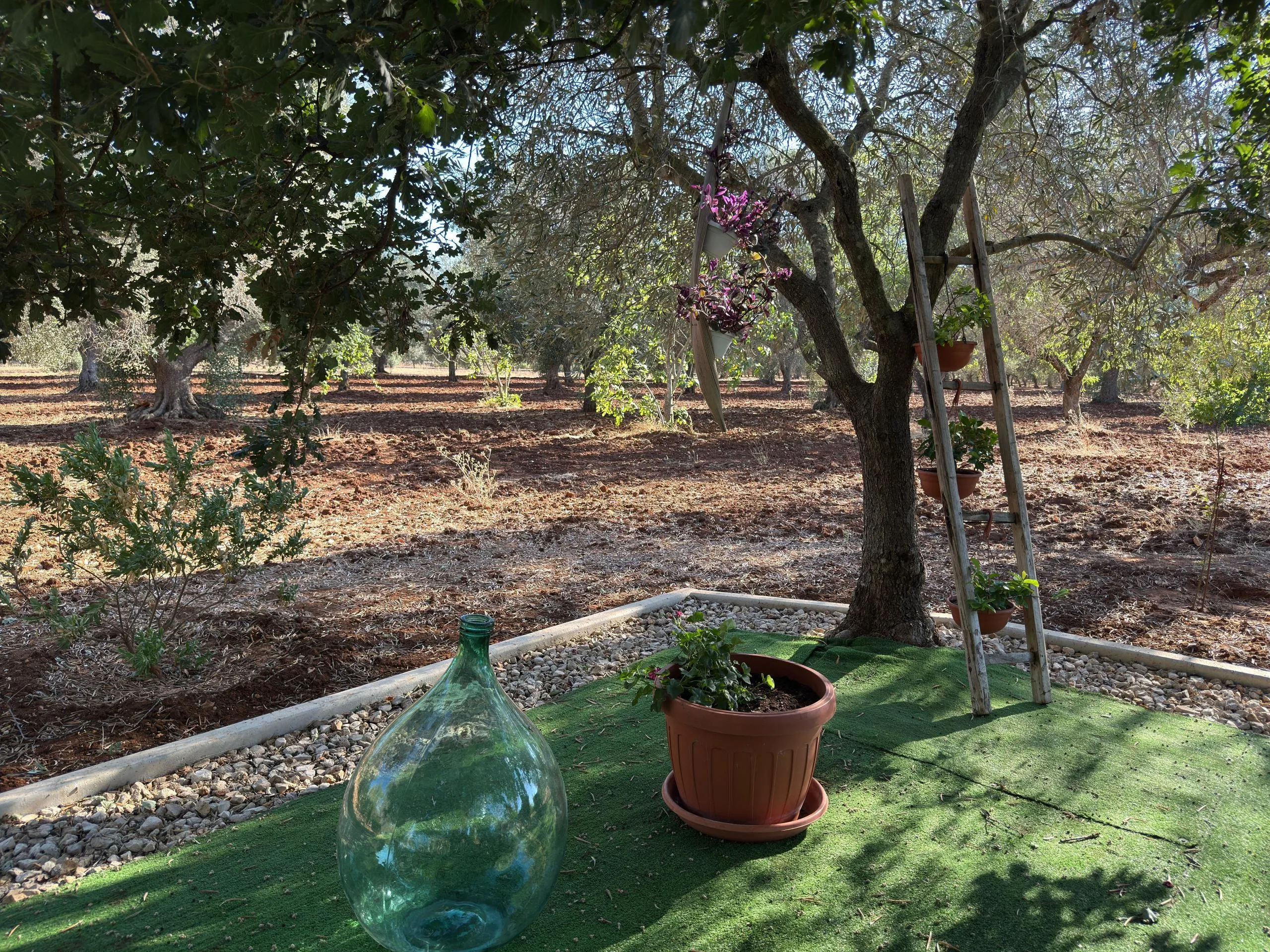 Foto 5 di 44 - Casa indipendente in vendita a Ceglie Messapica