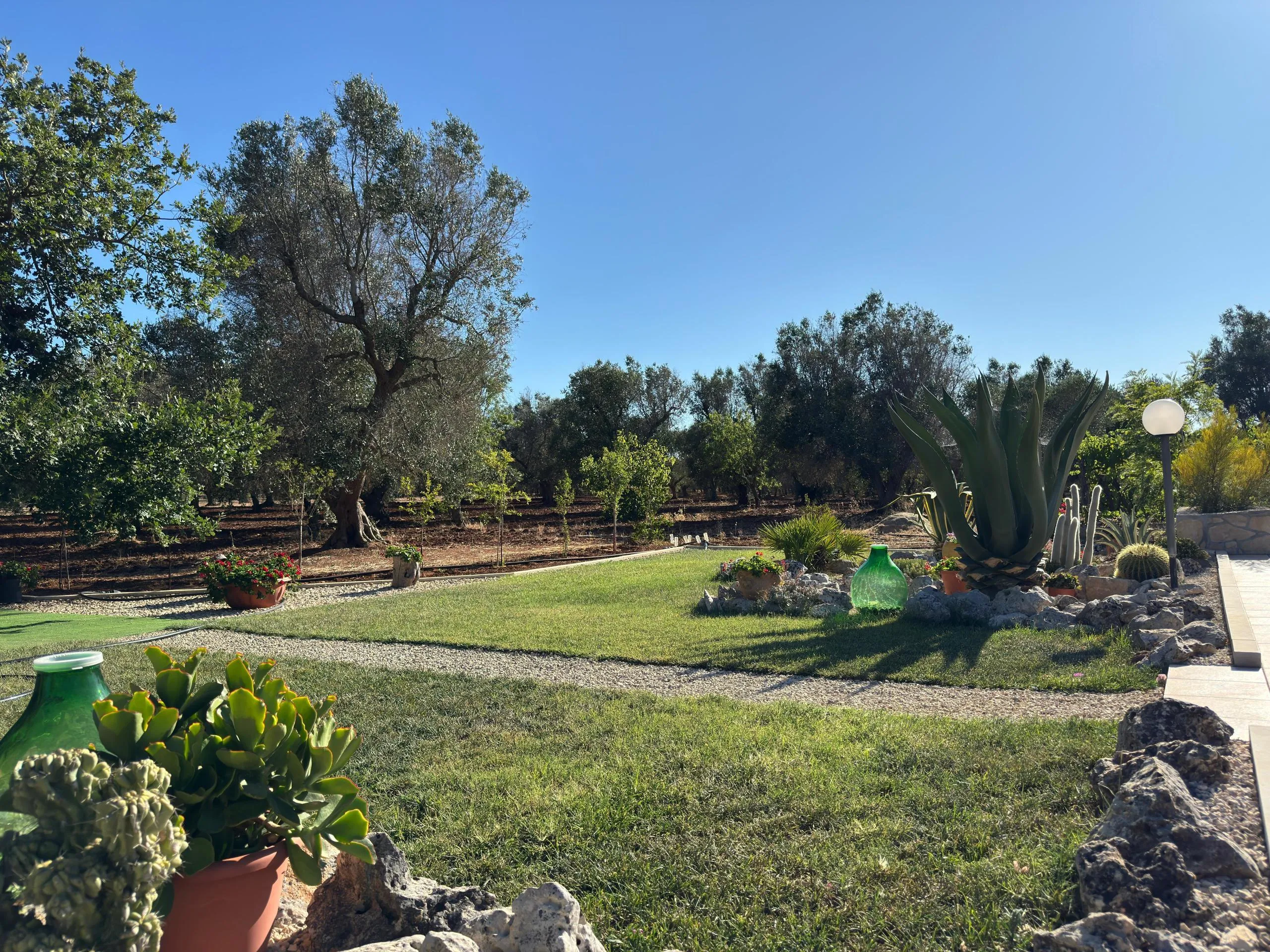 Foto 6 di 44 - Casa indipendente in vendita a Ceglie Messapica
