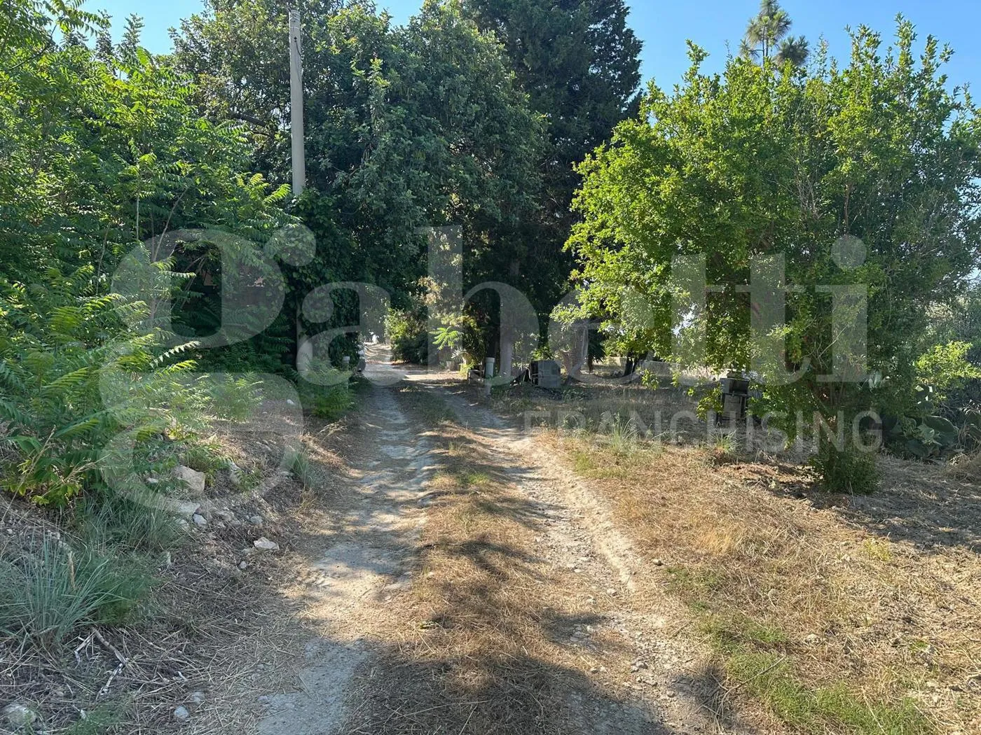 Foto 7 di 20 - Terreno in vendita a Avola