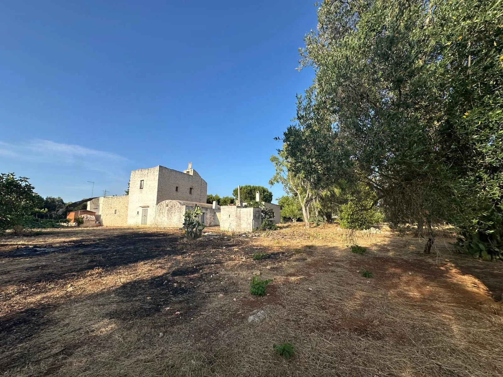 Foto 1 di 38 - Casa indipendente in vendita a Ostuni