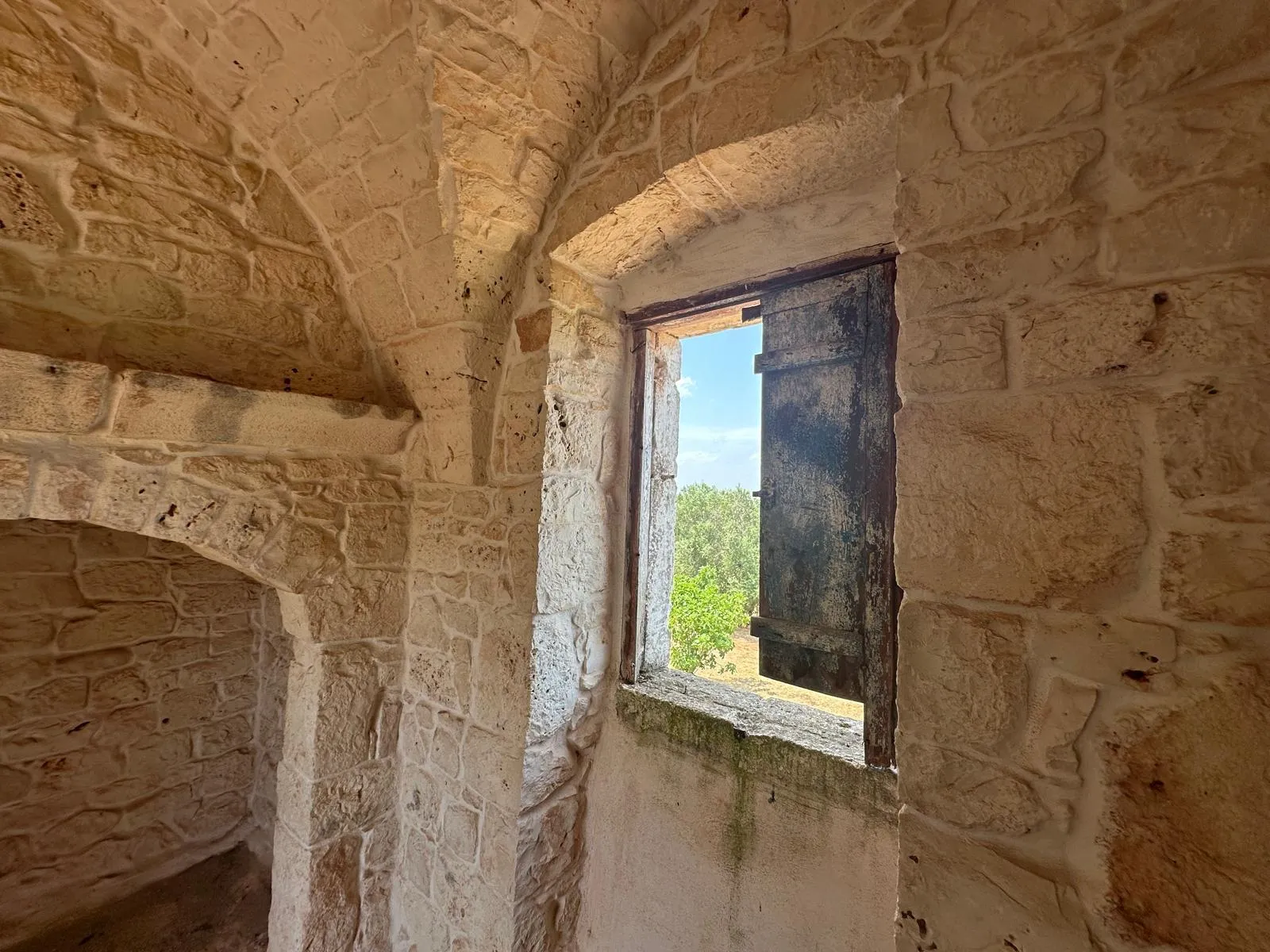 Foto 15 di 38 - Casa indipendente in vendita a Ostuni