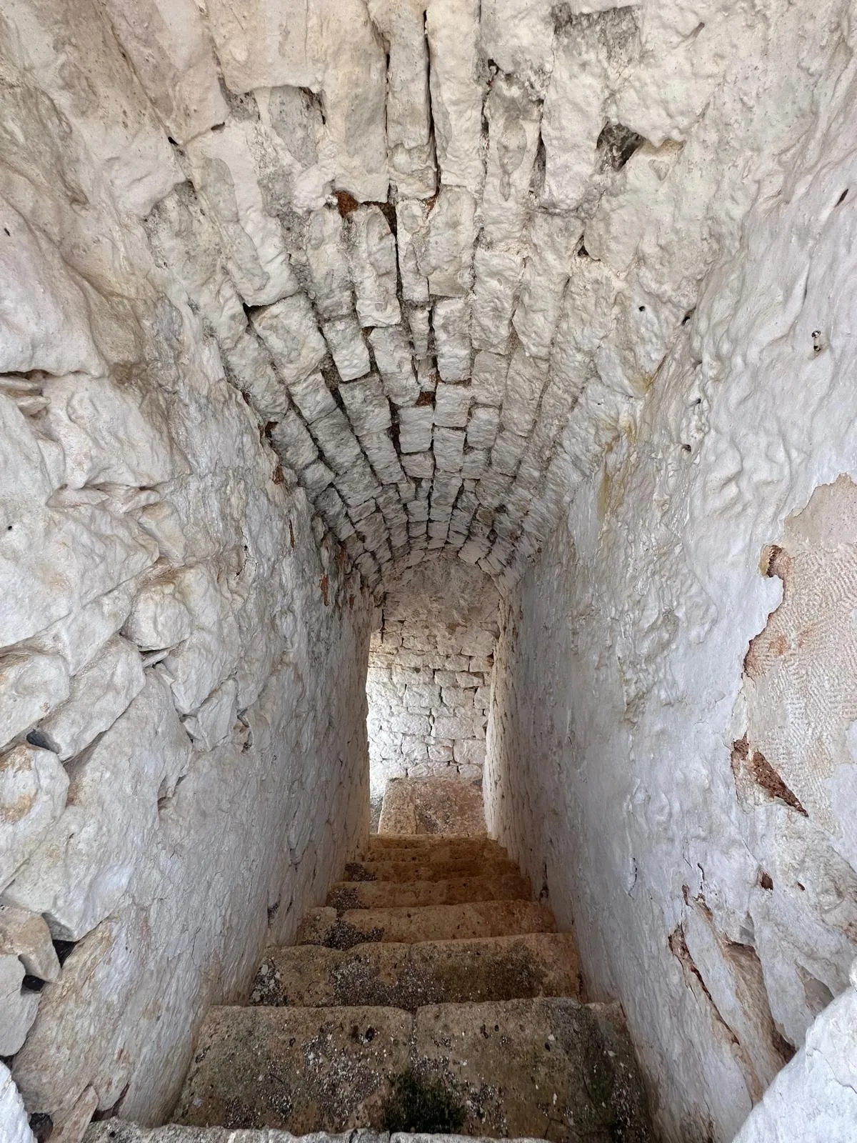 Foto 16 di 38 - Casa indipendente in vendita a Ostuni