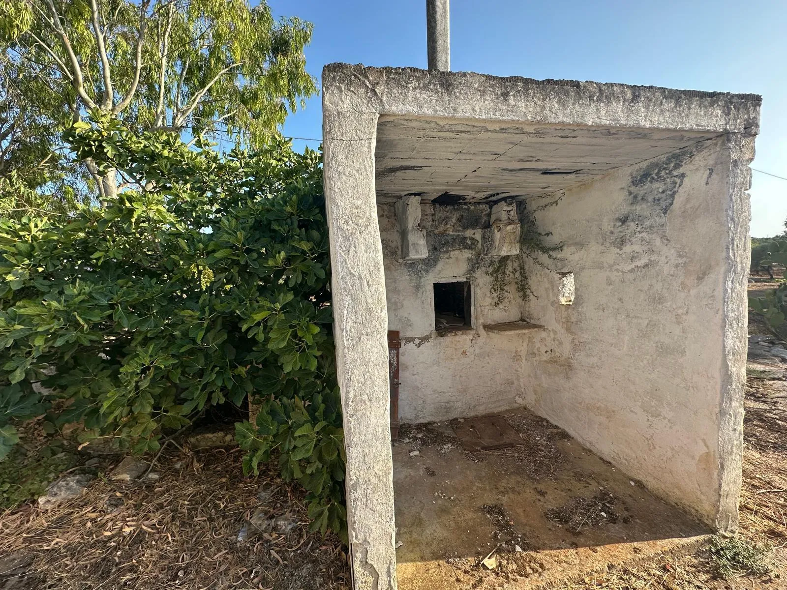 Foto 34 di 38 - Casa indipendente in vendita a Ostuni
