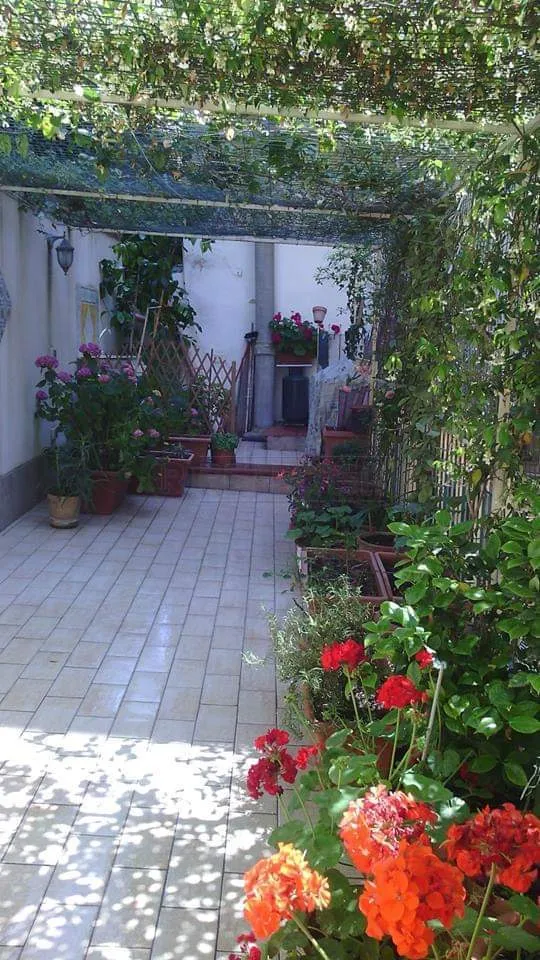 Foto 34 di 34 - Appartamento in vendita a Caltanissetta