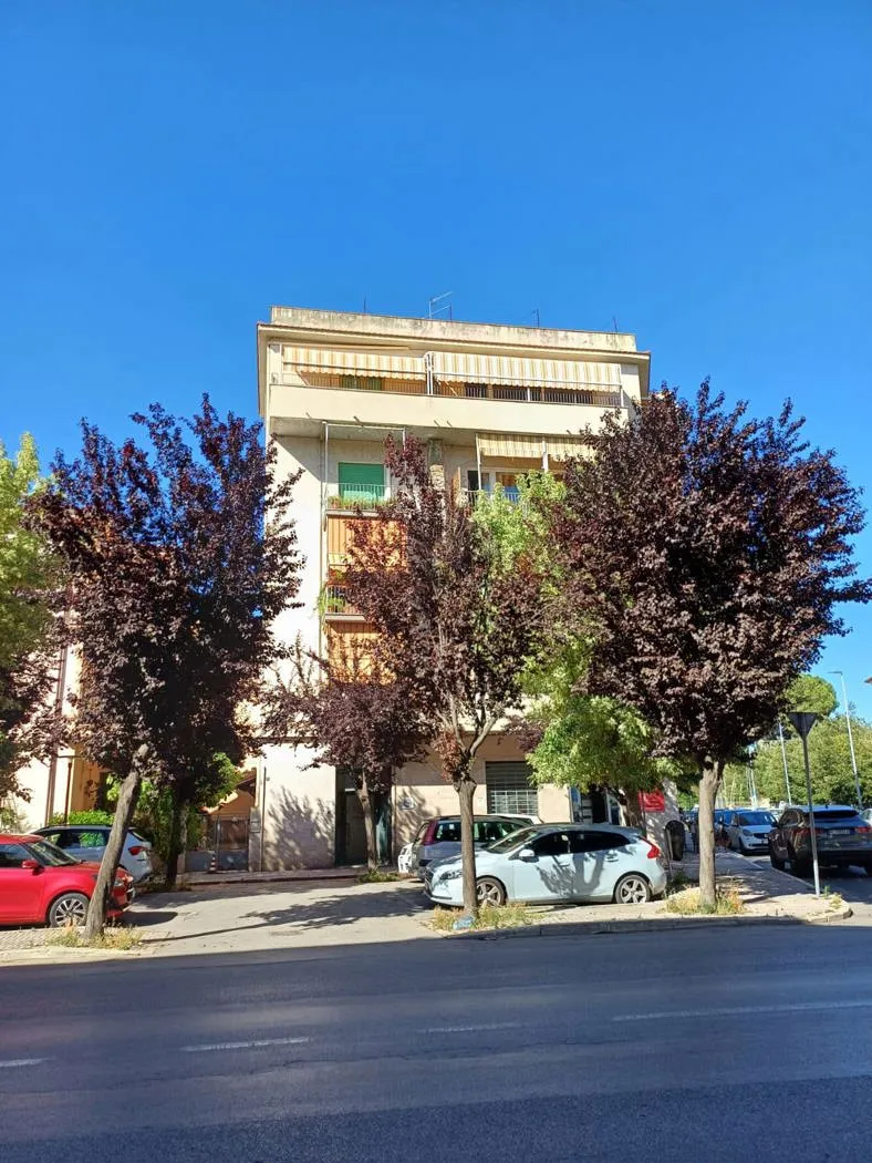 Foto 1 di 16 - Appartamento in vendita a Grosseto
