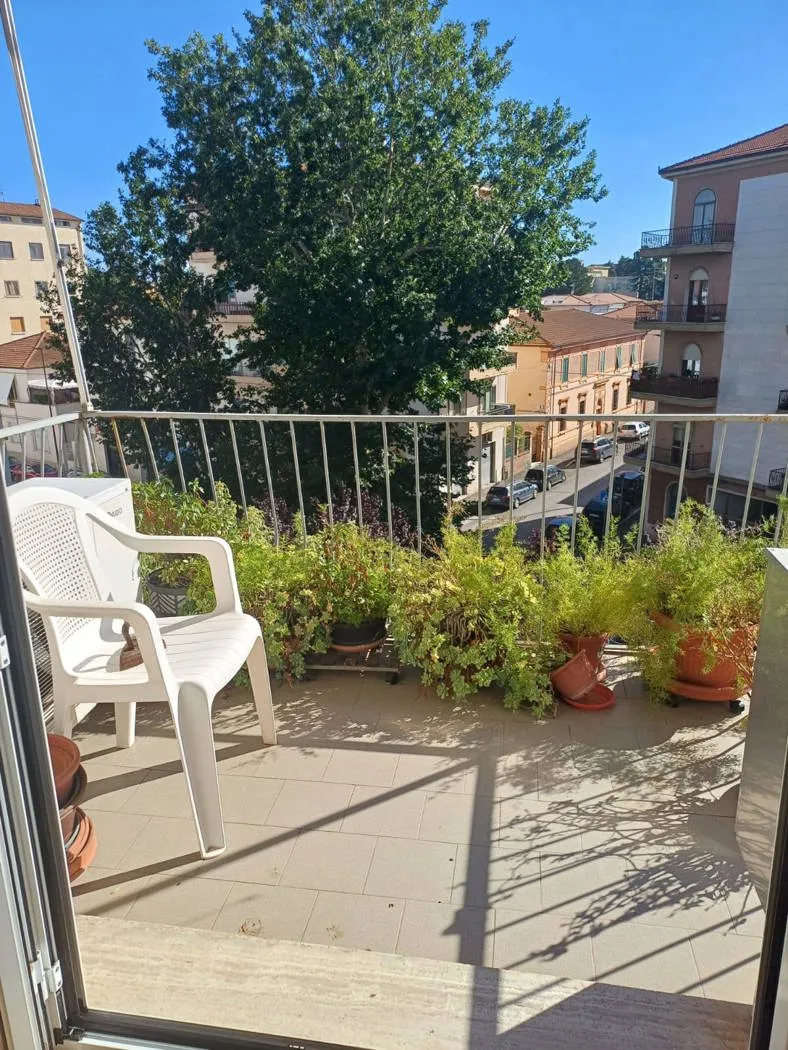 Foto 9 di 16 - Appartamento in vendita a Grosseto