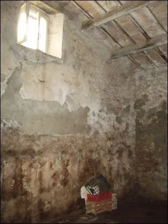 Foto 7 di 20 - Casa indipendente in vendita a Castelplanio
