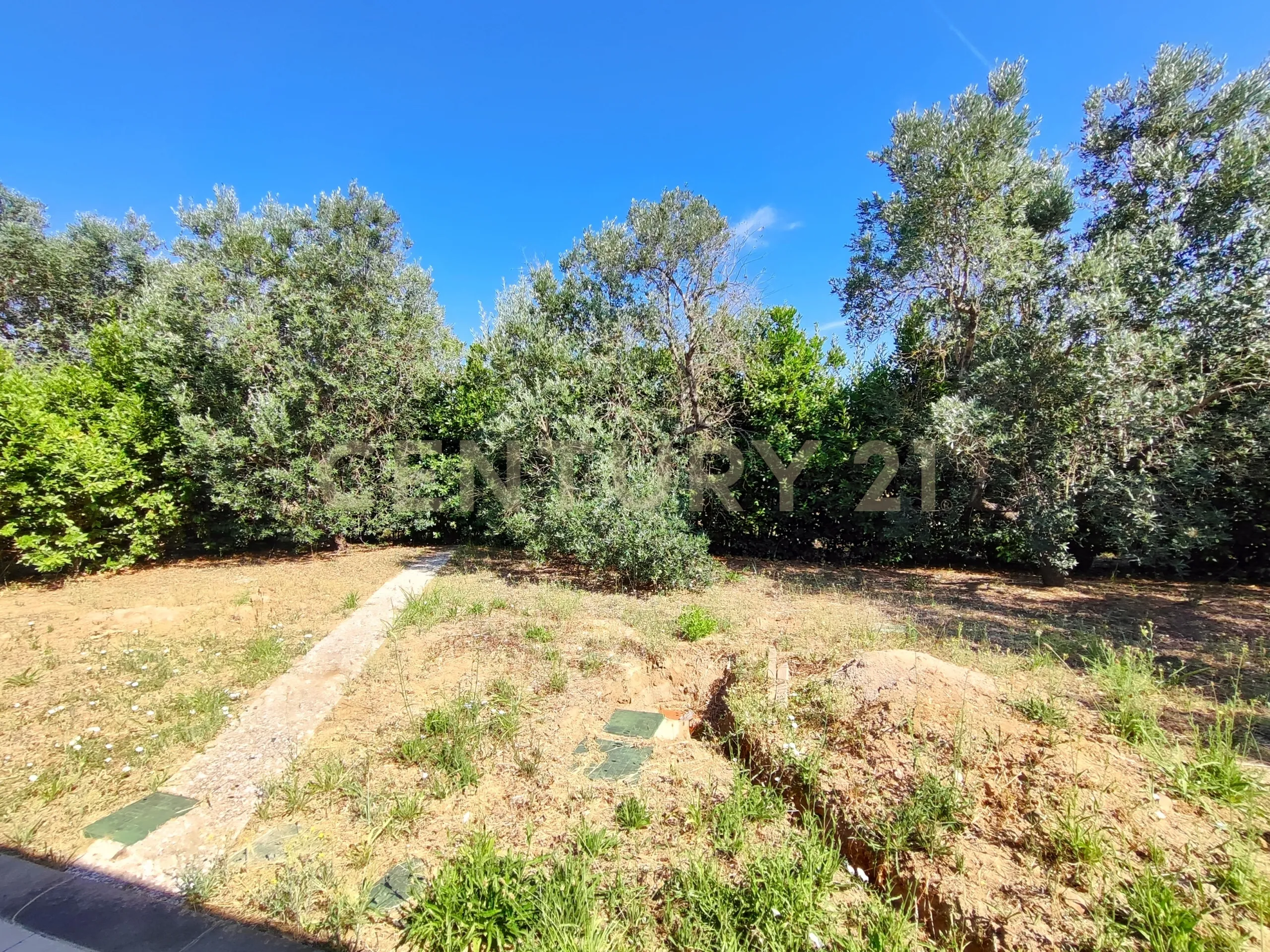 Foto 9 di 22 - Casa indipendente in vendita a Castiglione della Pescaia