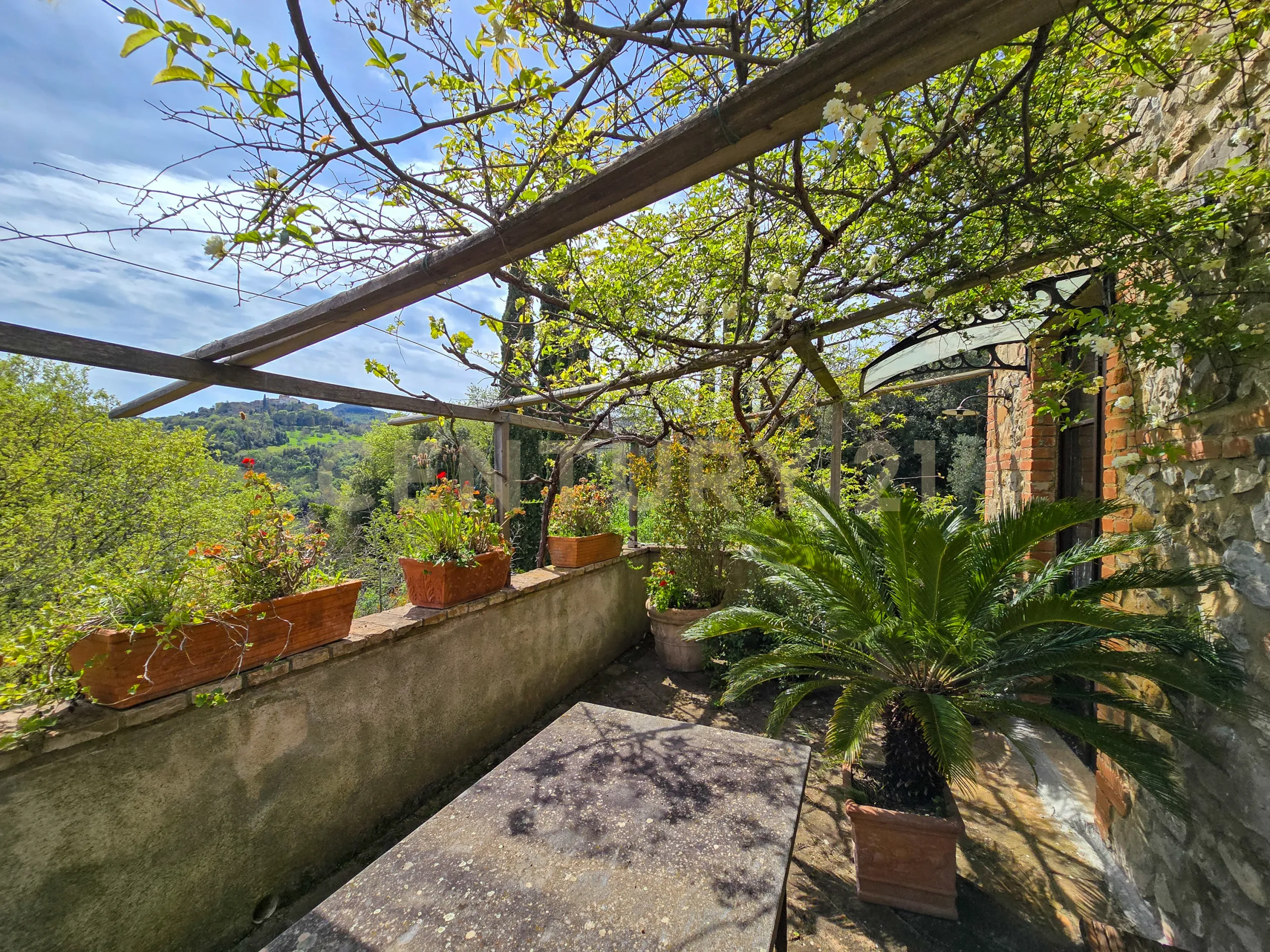 Foto 21 di 38 - Casa indipendente in vendita a Civitella Paganico