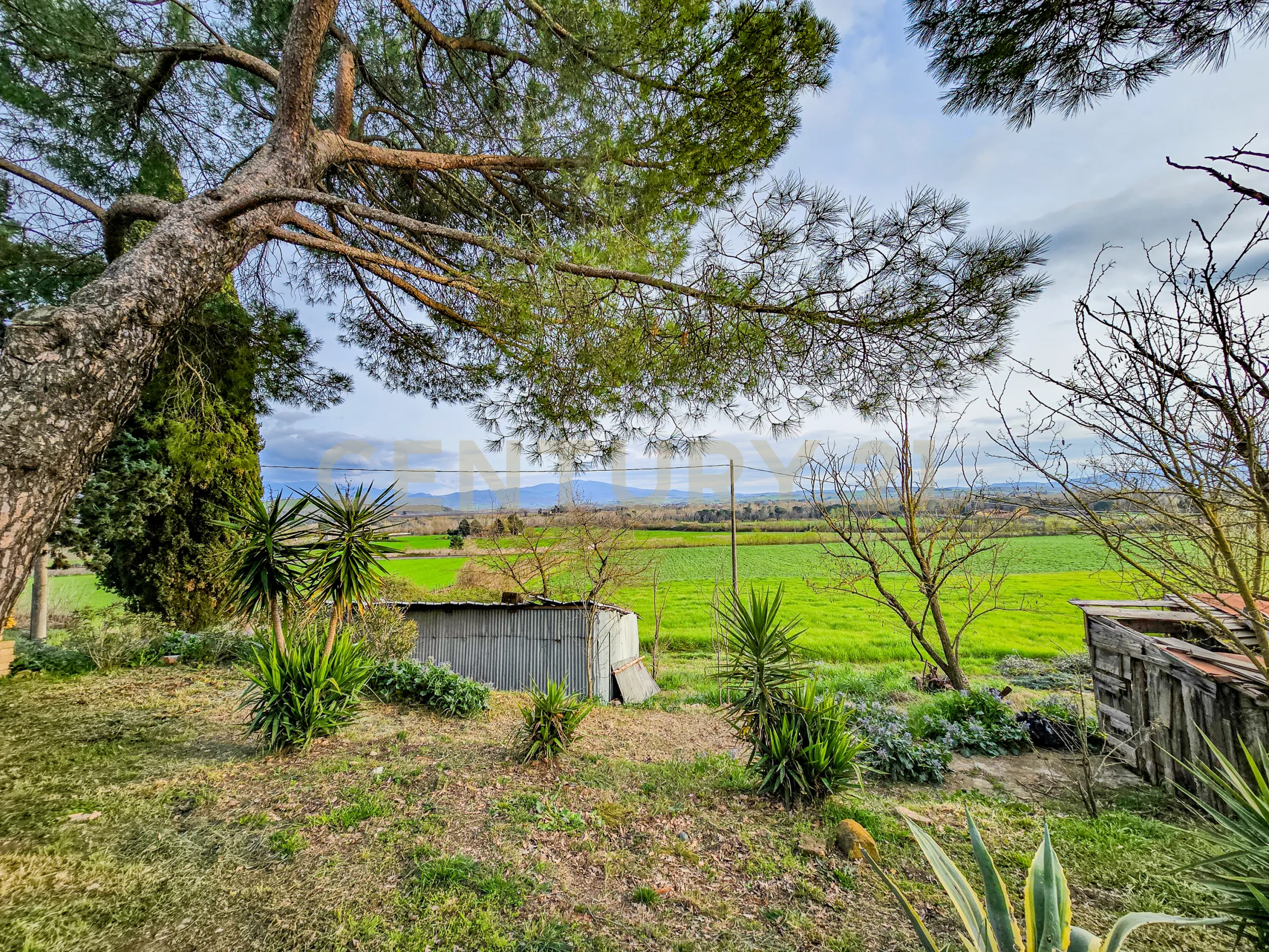 Foto 2 di 26 - Villa a schiera in vendita a Civitella Paganico