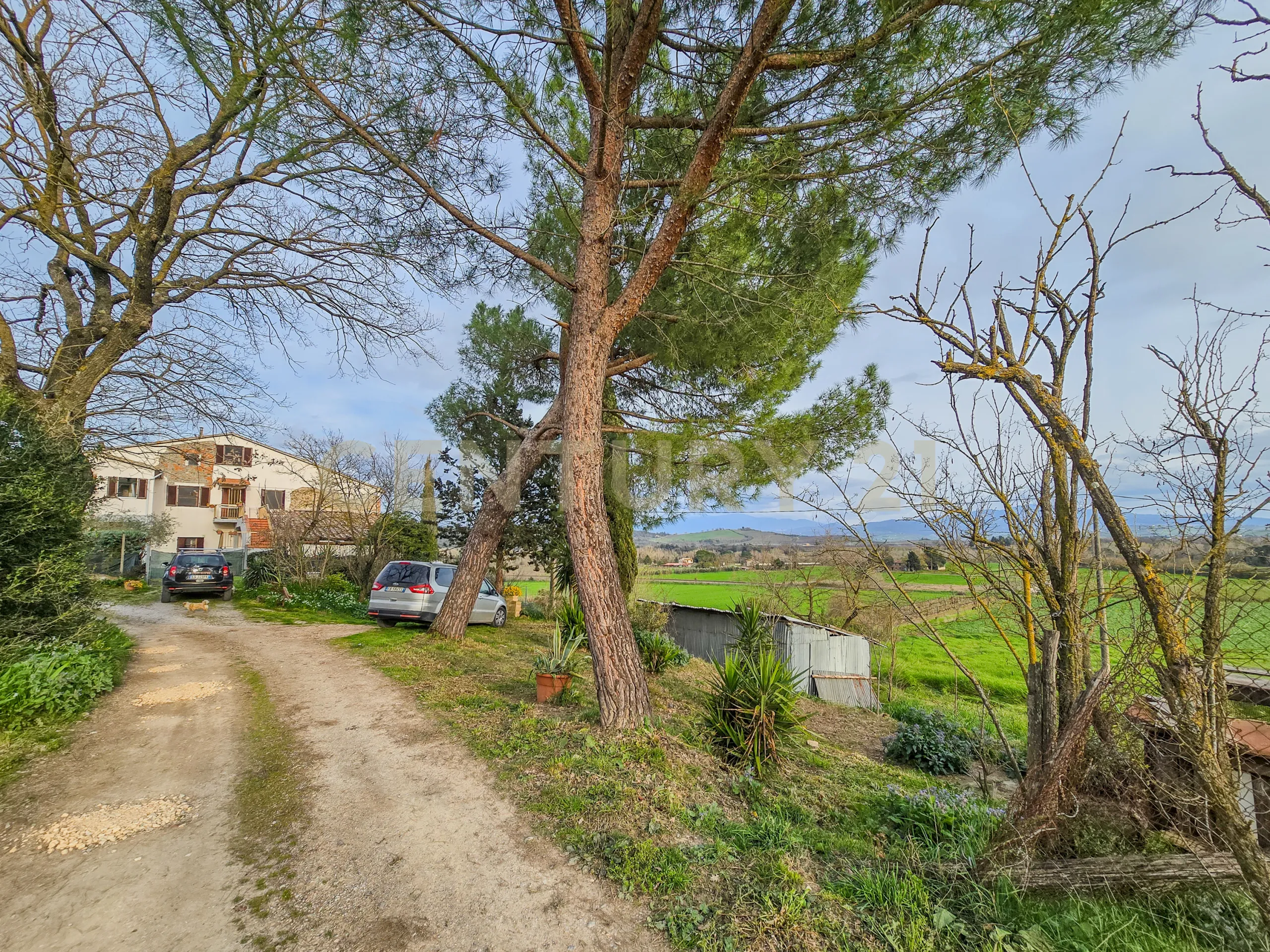 Foto 3 di 26 - Villa a schiera in vendita a Civitella Paganico