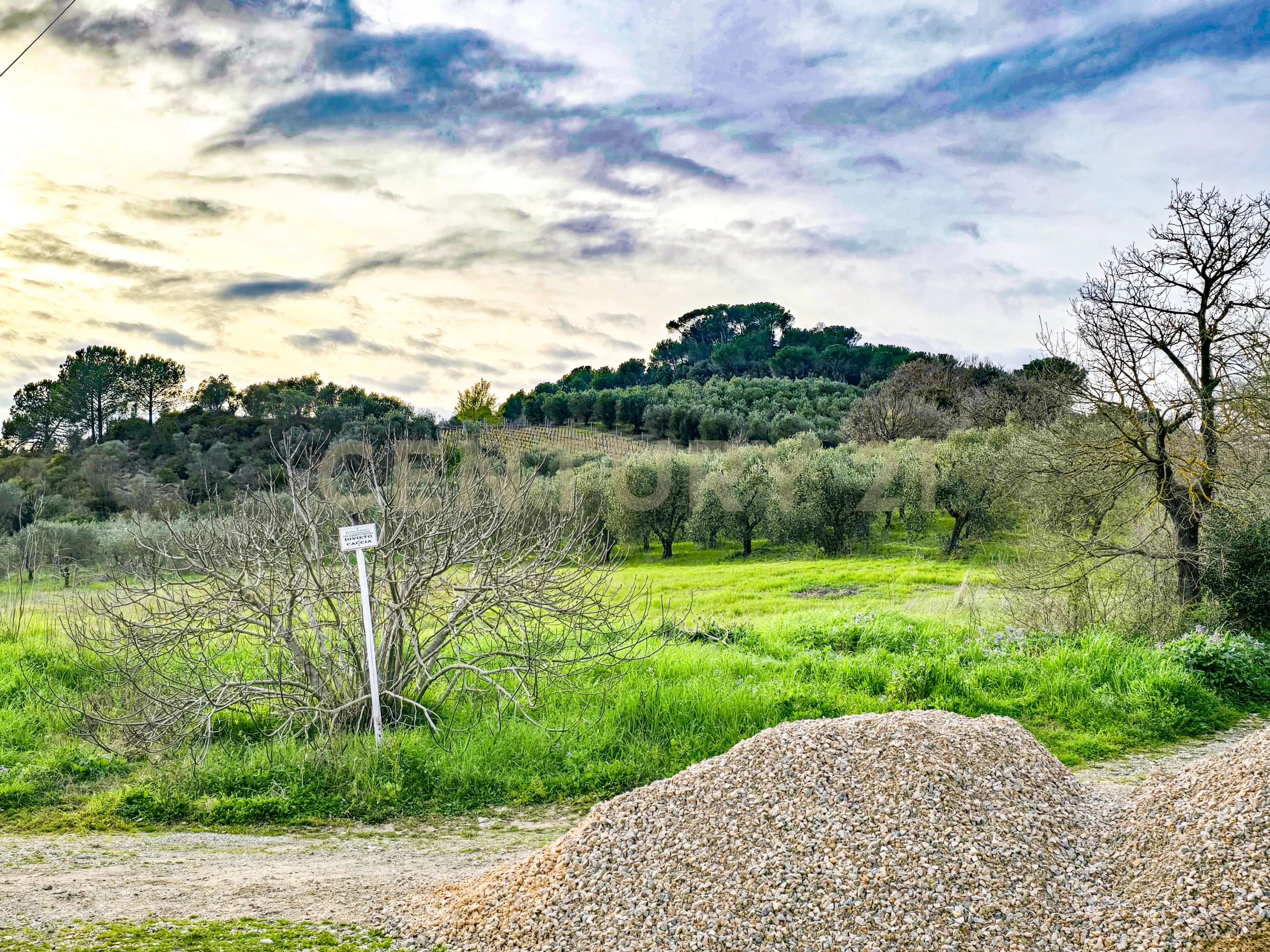 Foto 5 di 26 - Villa a schiera in vendita a Civitella Paganico