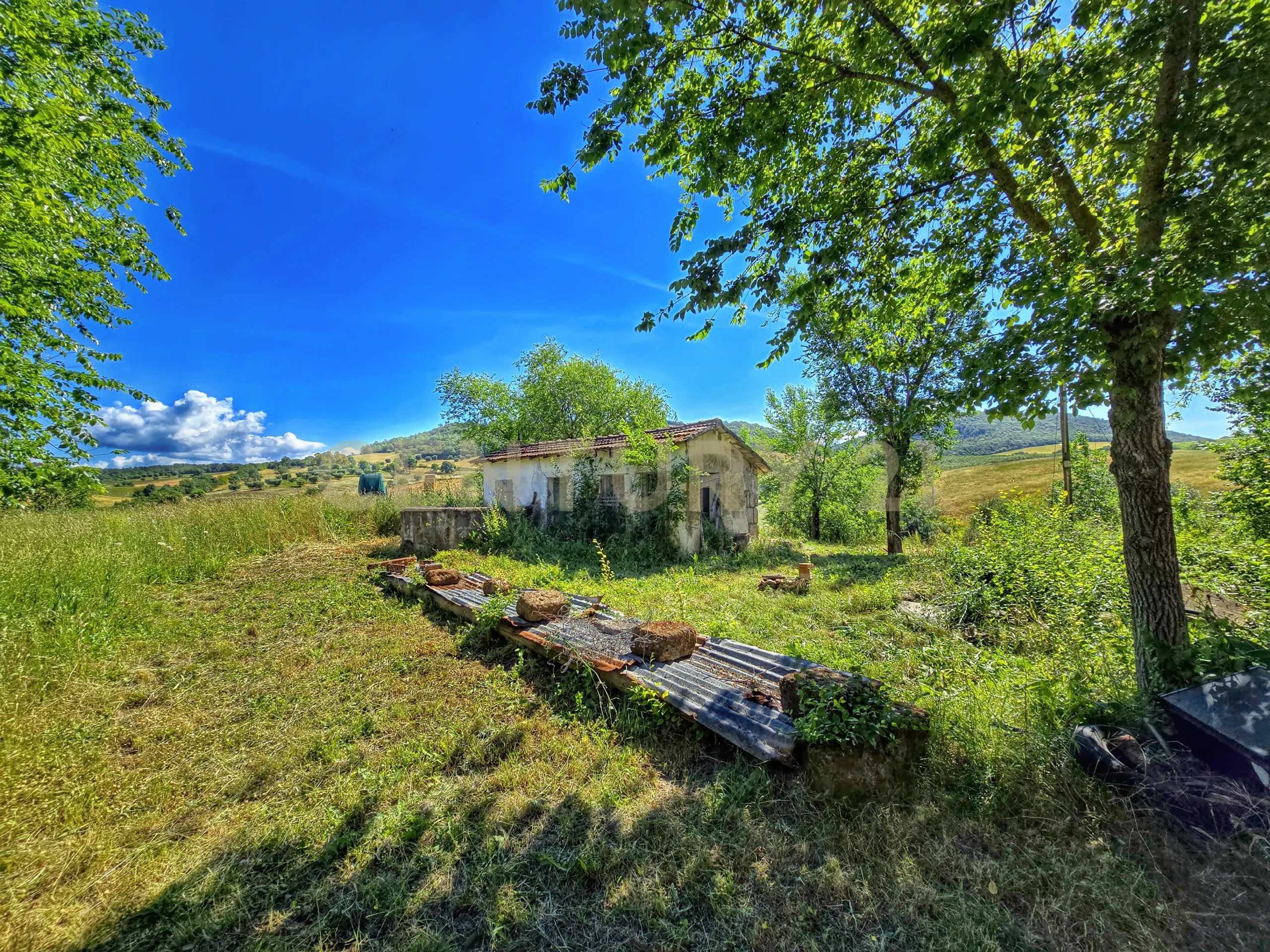 Foto 36 di 45 - Casa indipendente in vendita a Scansano
