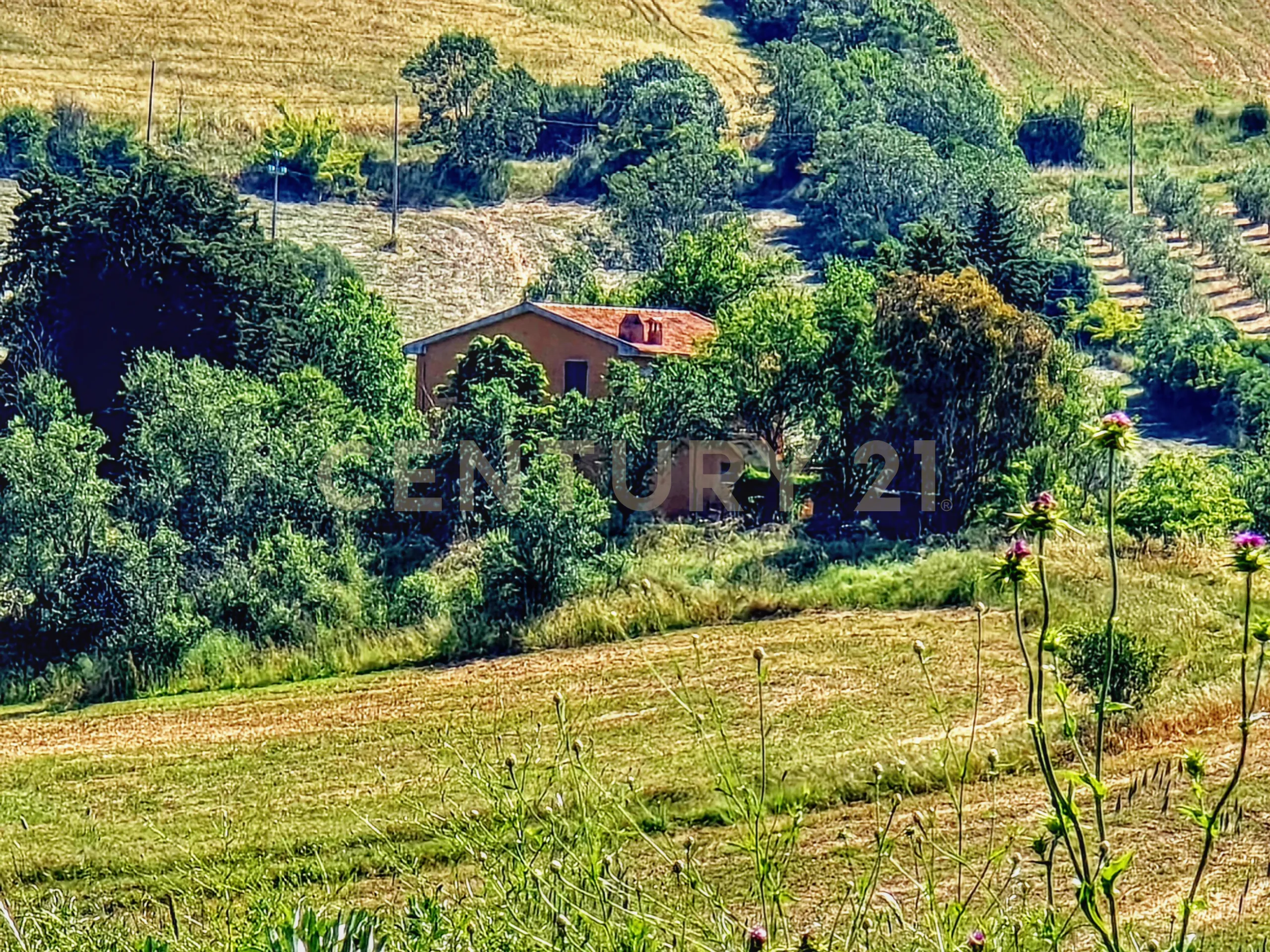 Foto 37 di 45 - Casa indipendente in vendita a Scansano