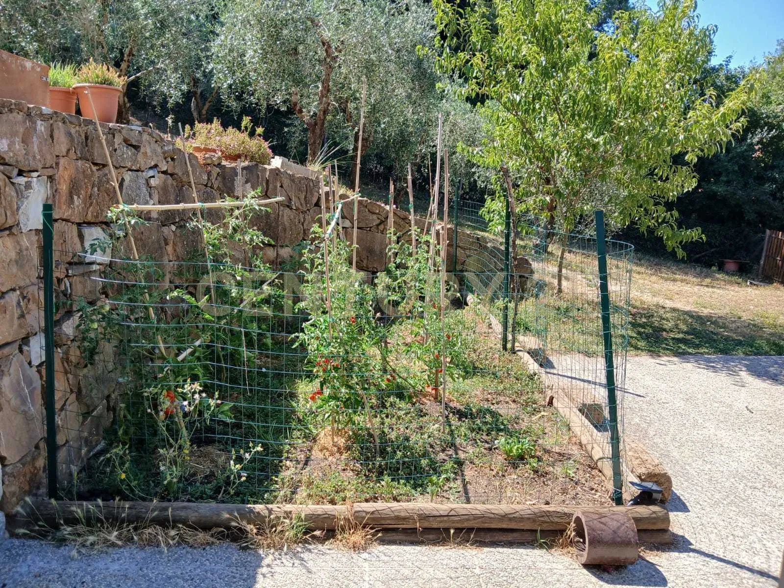 Foto 6 di 43 - Casa indipendente in vendita a Manciano