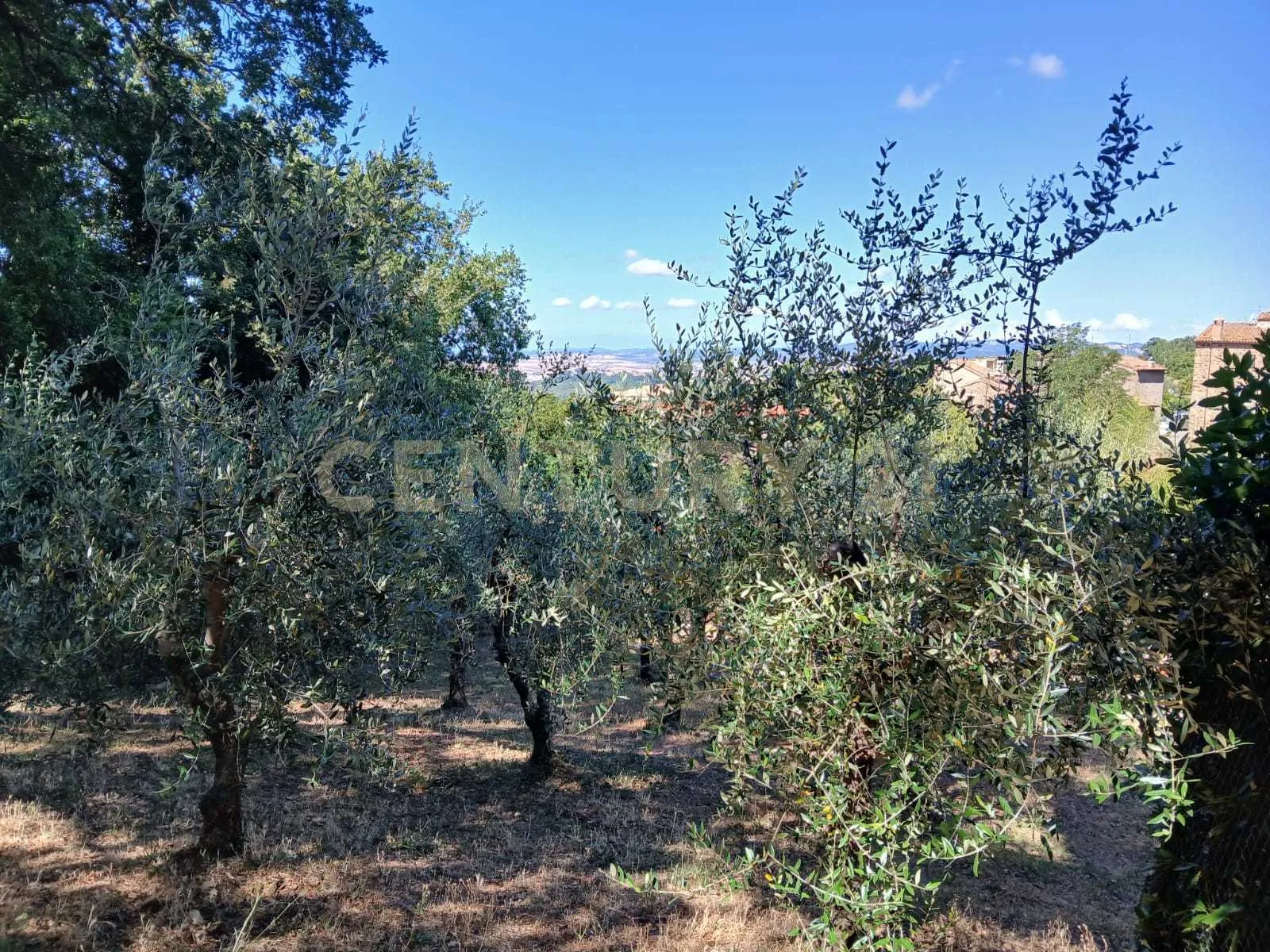 Foto 40 di 43 - Casa indipendente in vendita a Manciano