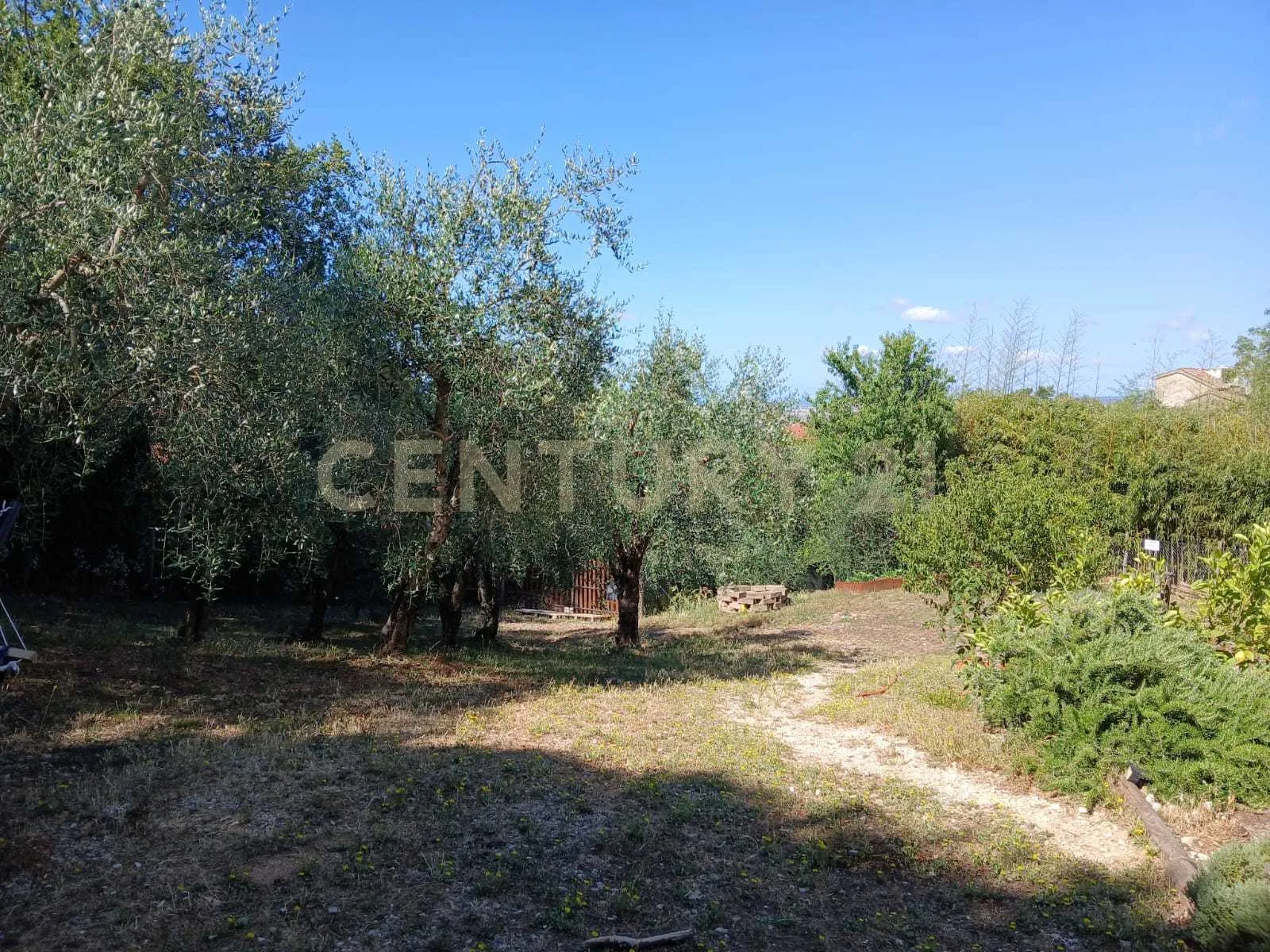 Foto 41 di 43 - Casa indipendente in vendita a Manciano