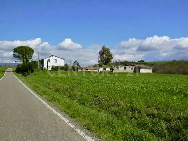 Foto 2 di 38 - Casa indipendente in vendita a Cinigiano