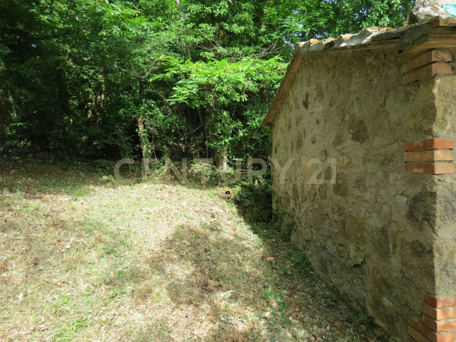 Foto 4 di 22 - Casa indipendente in vendita a Roccastrada