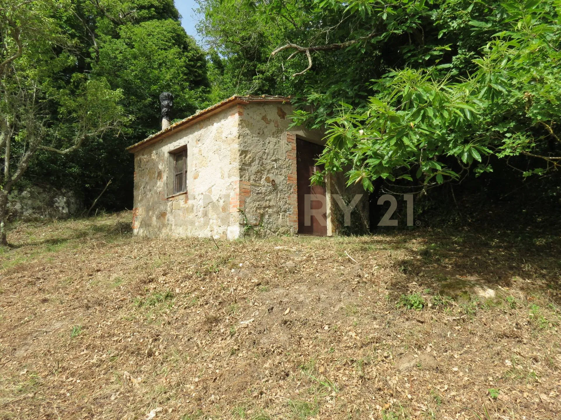 Foto 8 di 22 - Casa indipendente in vendita a Roccastrada